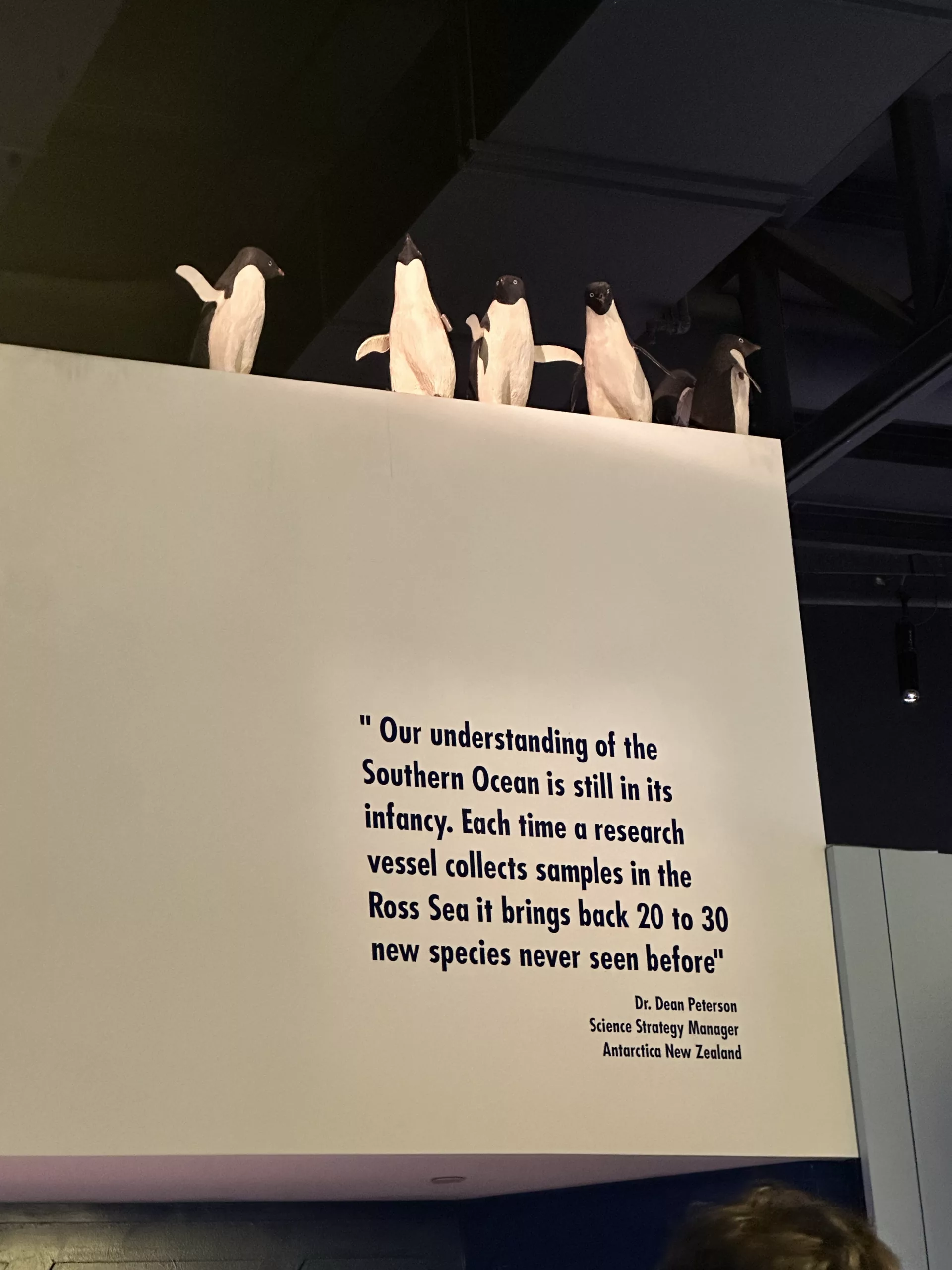 Im international antarctic center lernen auch Erwachsene noch etwas