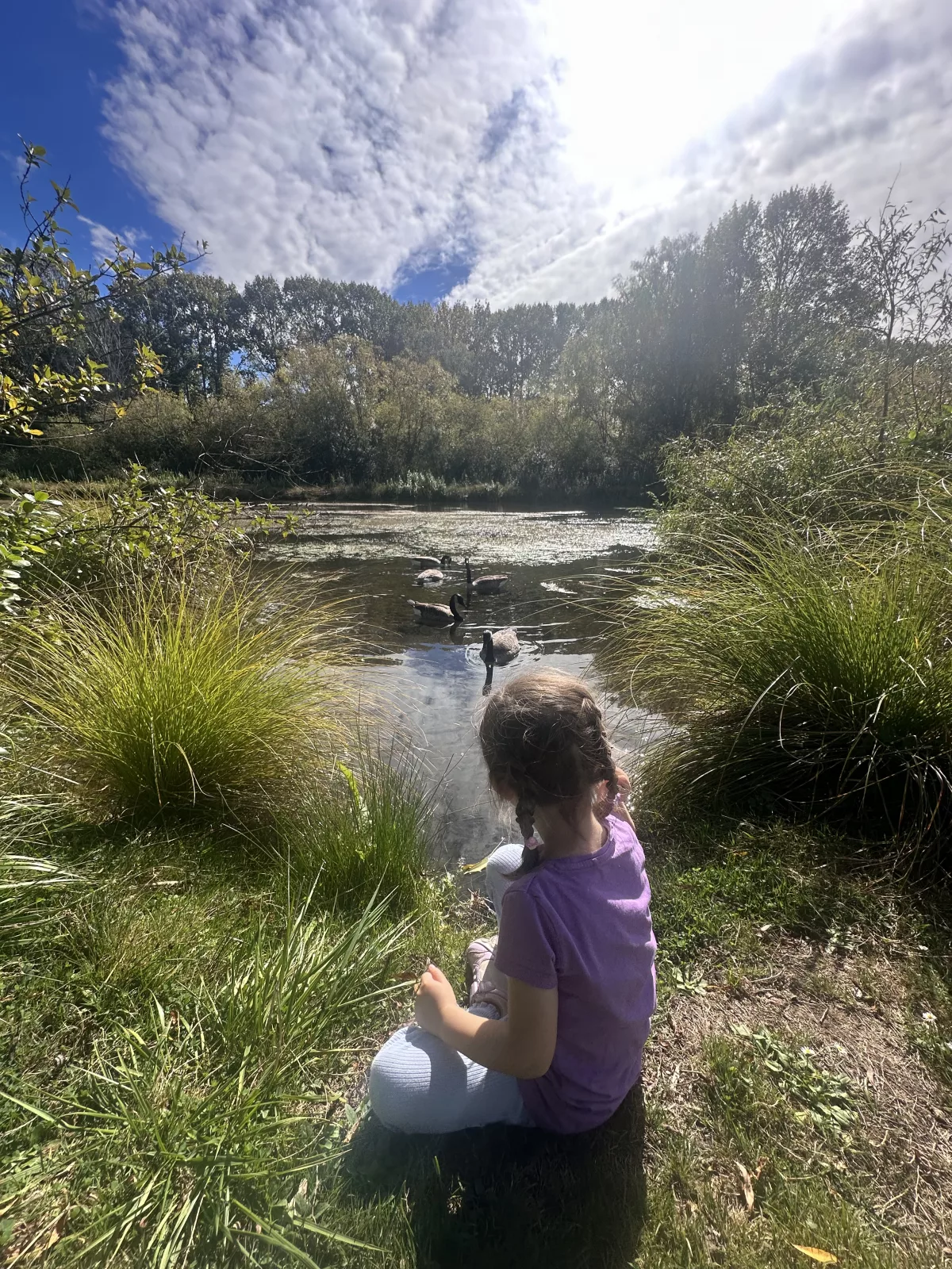 Ava baut Blätterboote und alle Wasservögel hoffen auf Futter