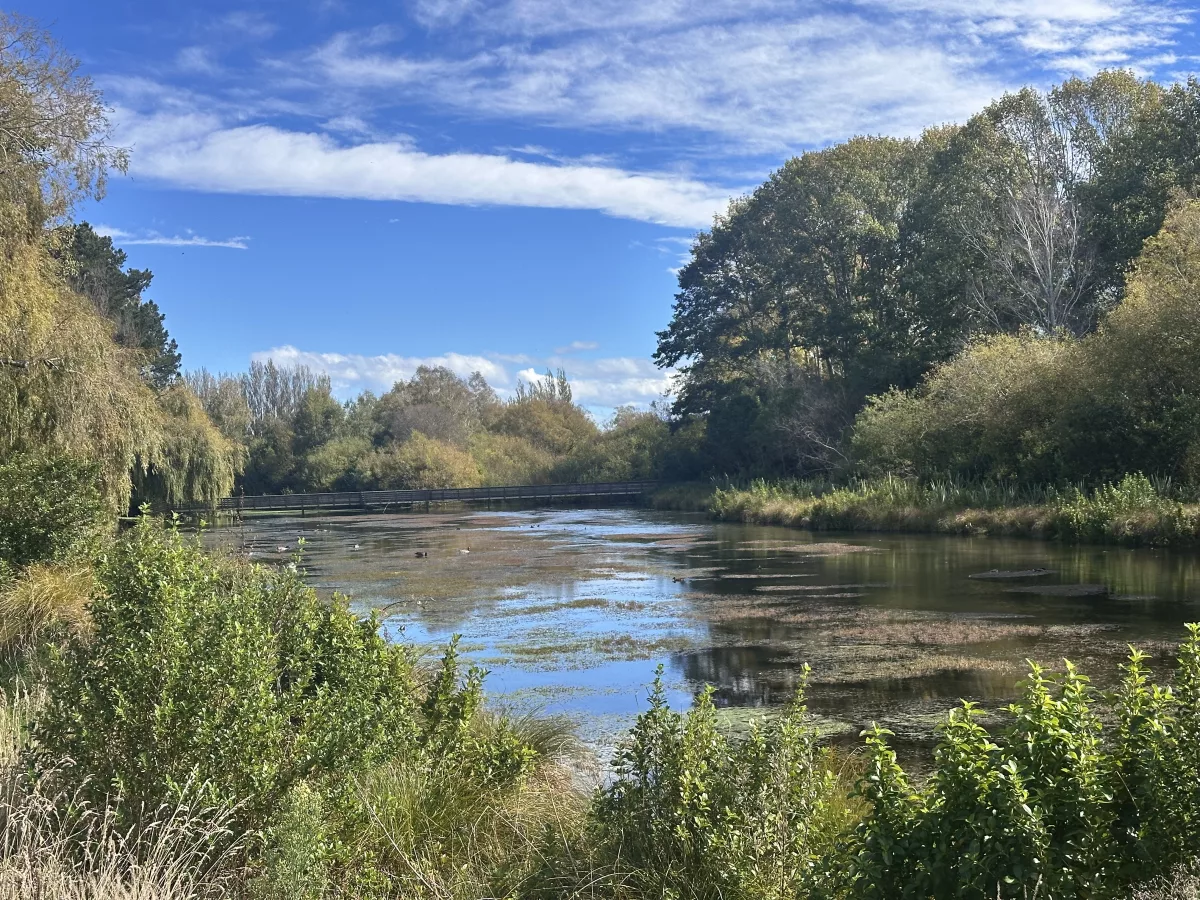 Der grüne Park ist überall von Teichen durchzogen
