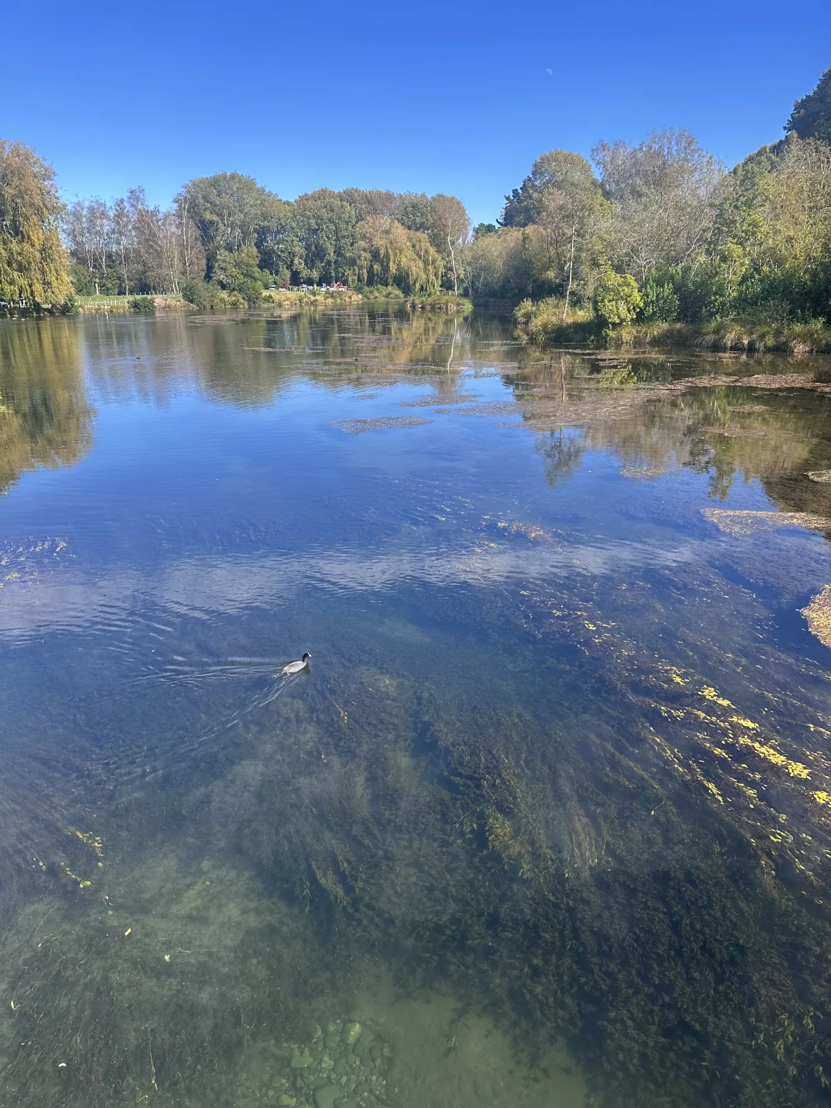 Das klare Wasser gehört den Vögeln, Baden nicht möglich