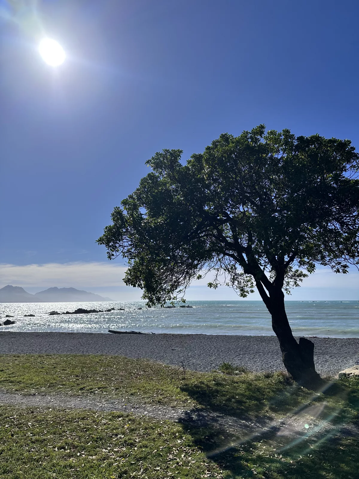 Hier findest du traumhafte Natur an Land und auf dem Meer