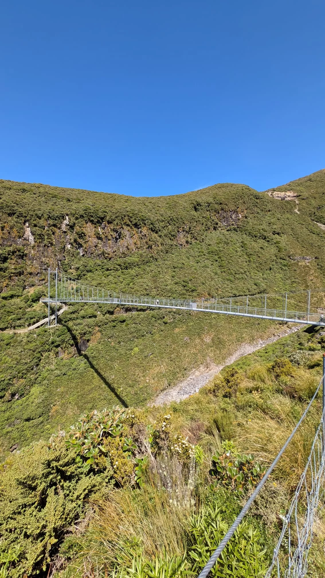 Die Hängebrücke am Mount Taranaki wurde erst 2024 fertiggestellt