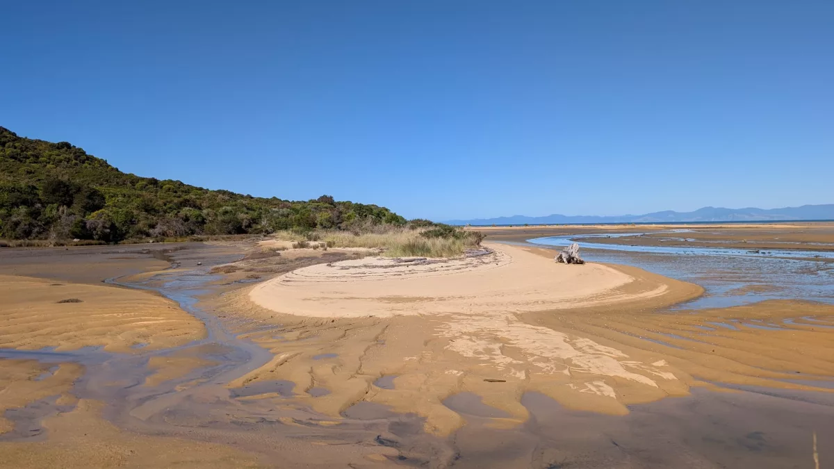 Bei Ebbe sind die Bedingungen ideal