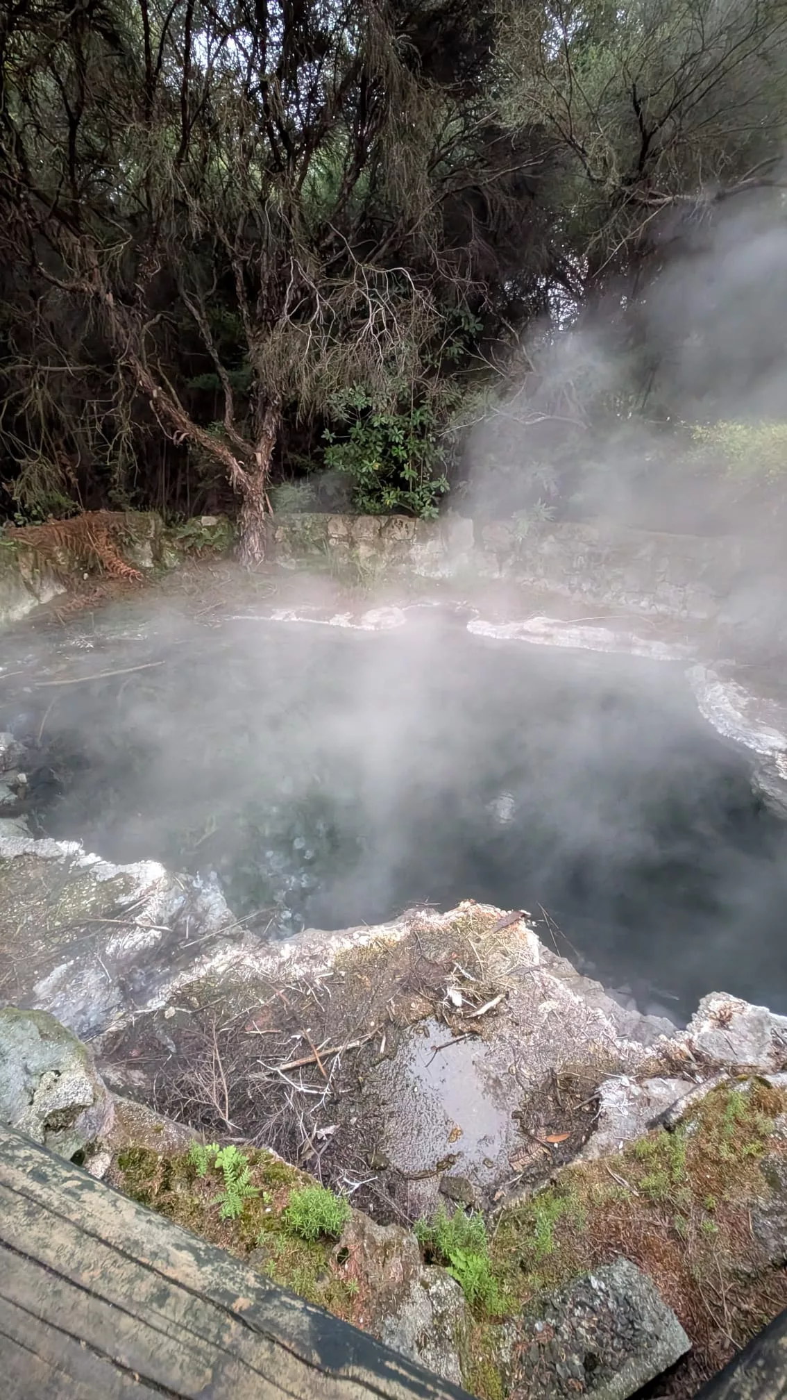 Die Thermalpools sind ganz nah - unbedingt auf Kinder aufpassen