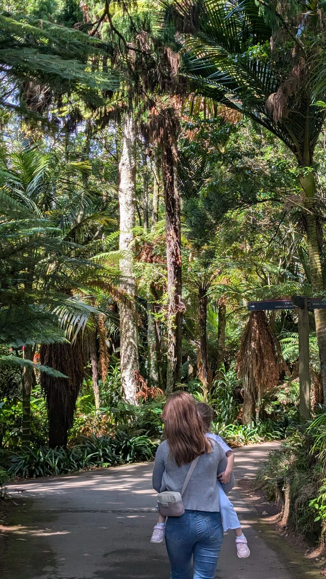 Spaziergang durch den Wald inklusive