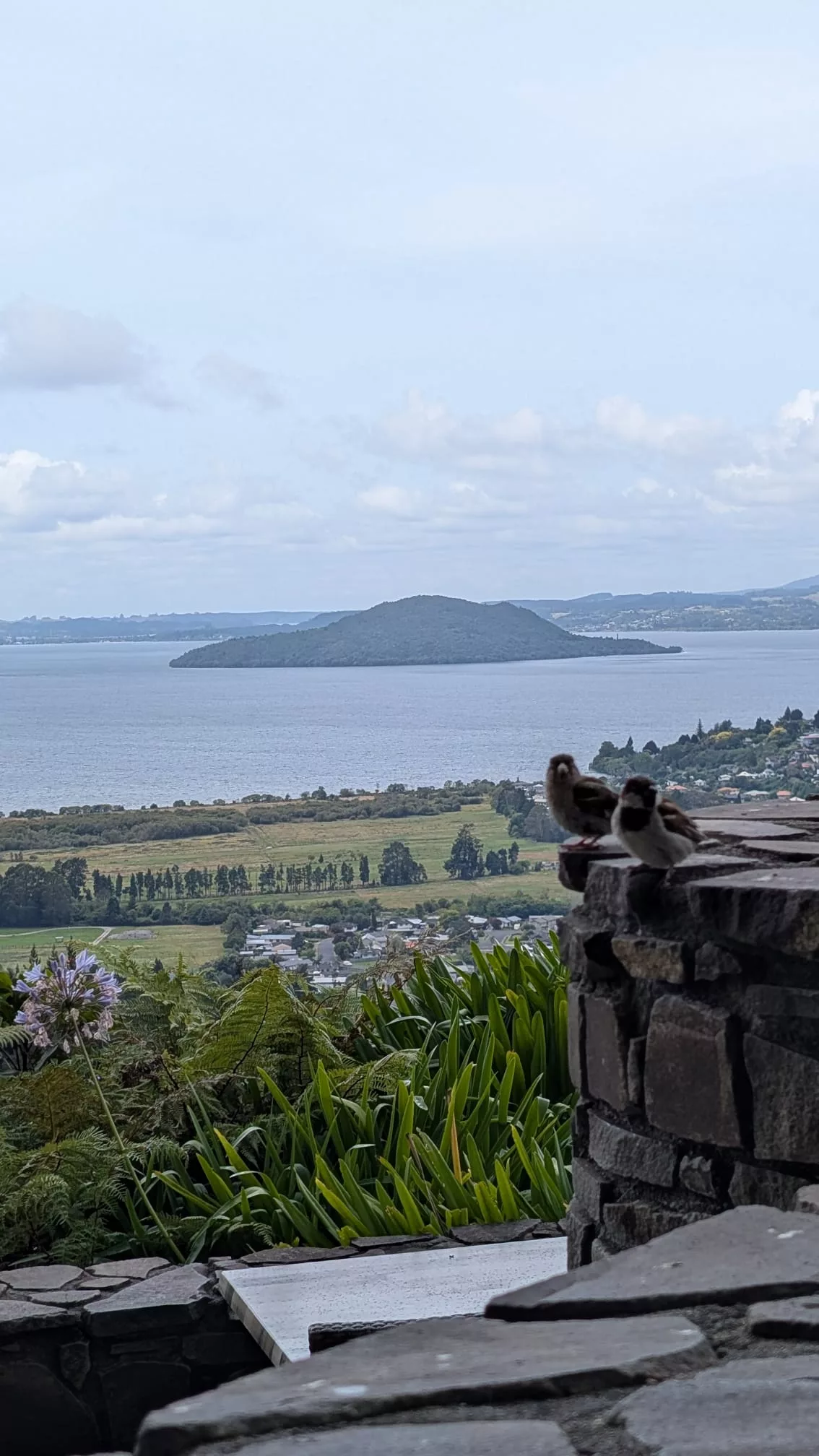 Die Aussicht vom Restaurant oben ist auch sehr schön
