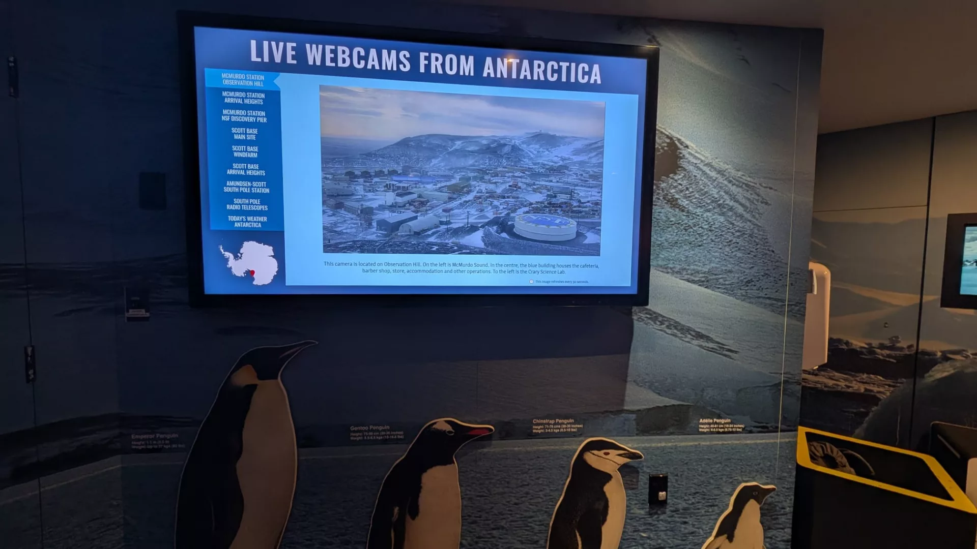 Es gibt sogar Live-Kameras aus der Antarktis
