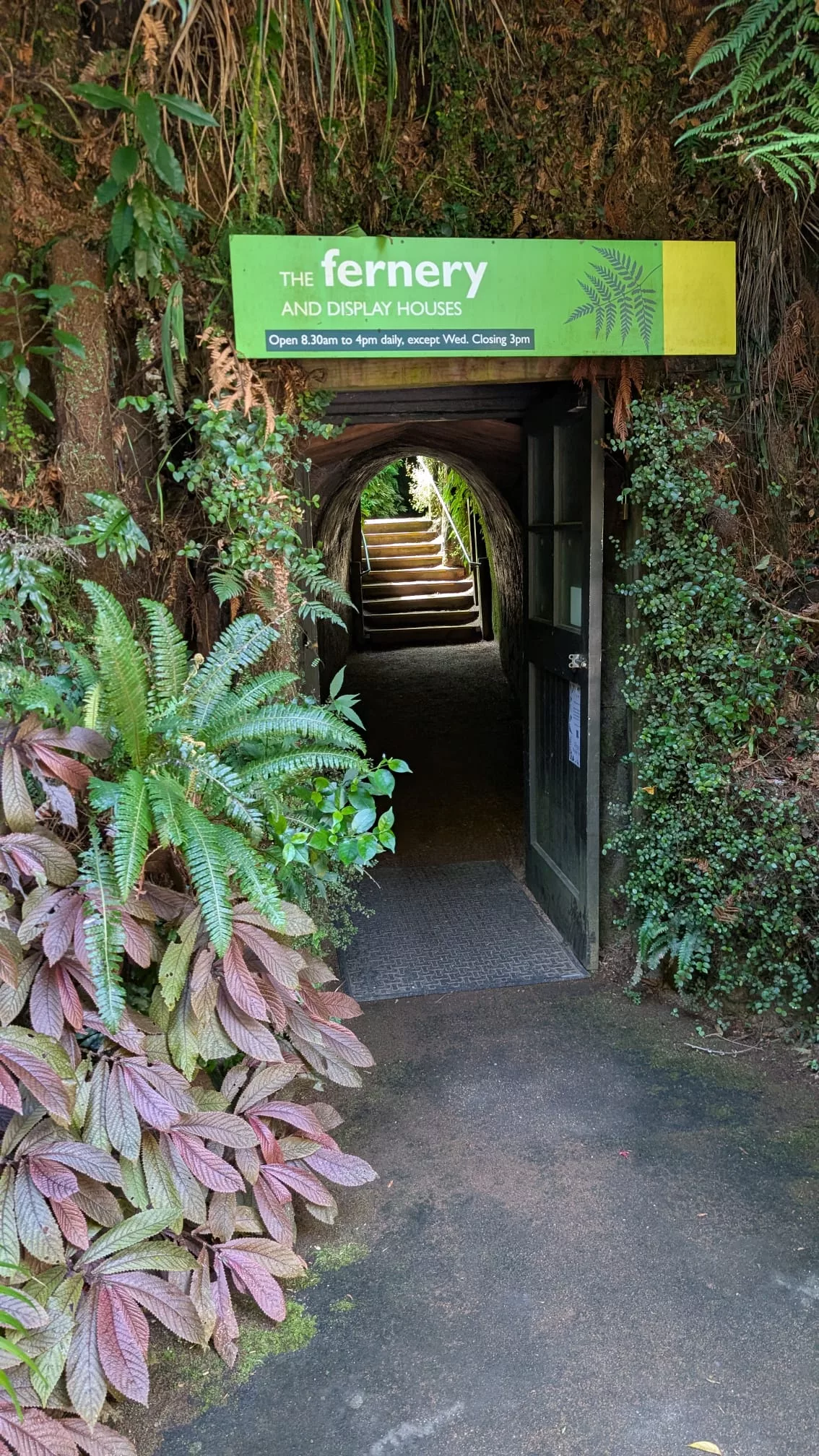 Eingang der Fernery im Pukekura Park