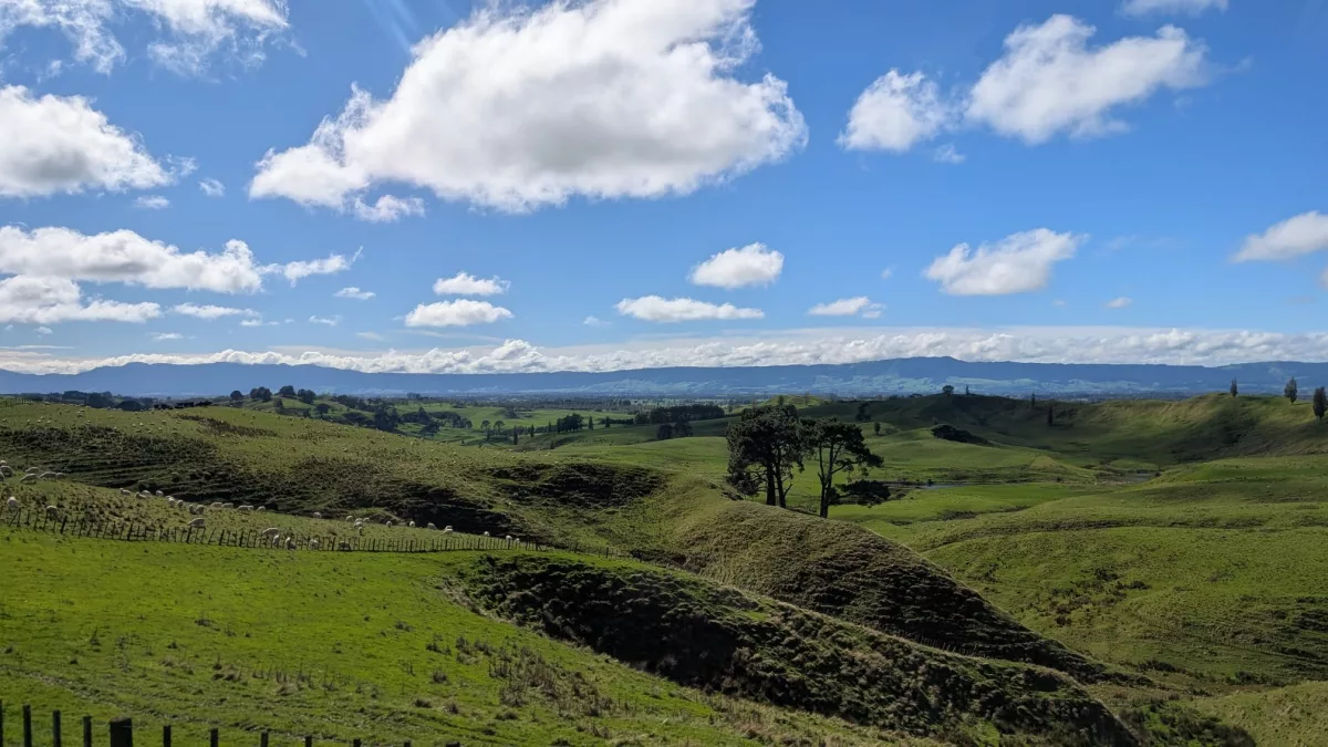Aussicht über die wunderschöne Landschaft der Alexander Farm