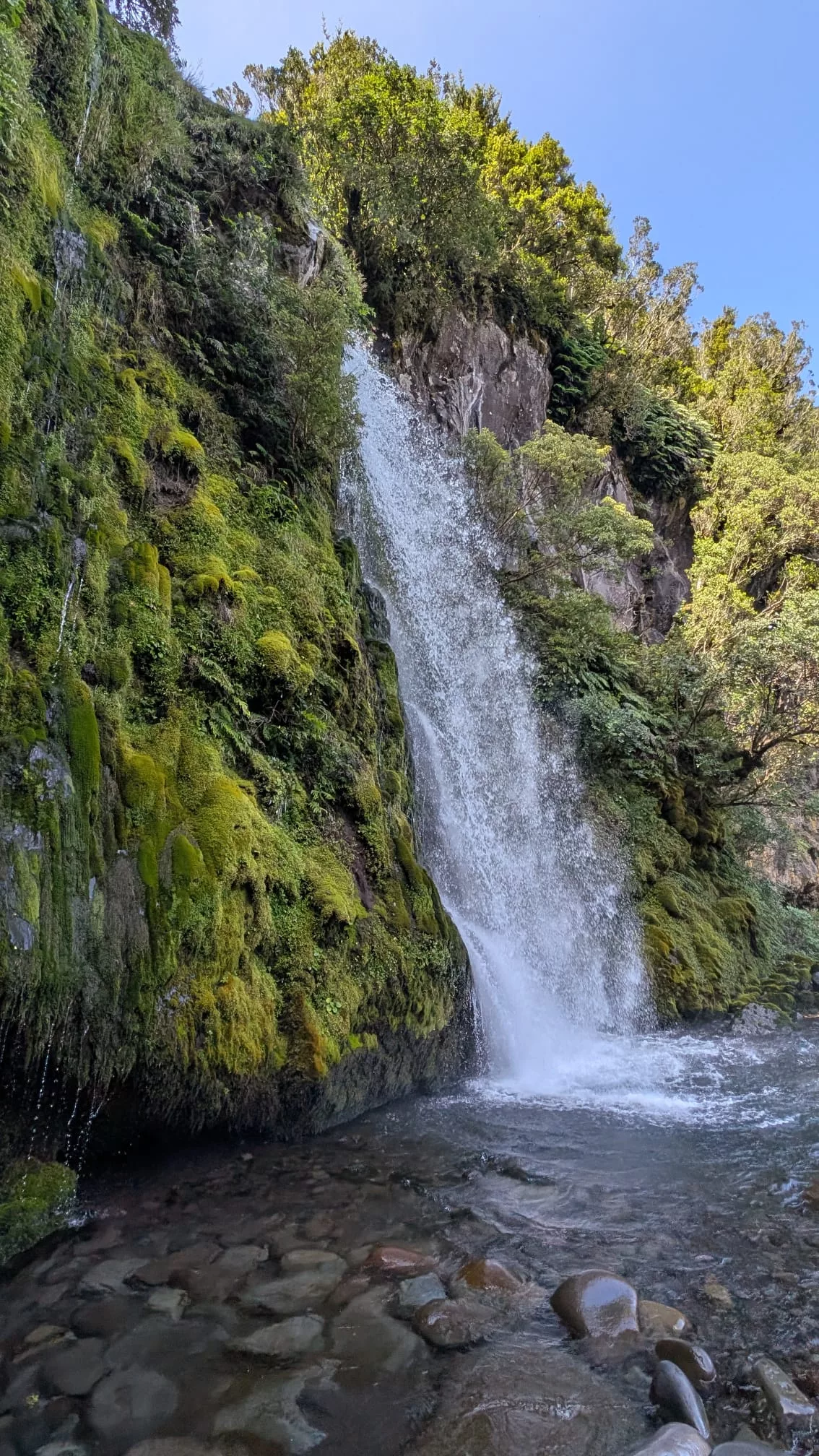 Den besten Blick auf die Dawson Falls hast du von unten