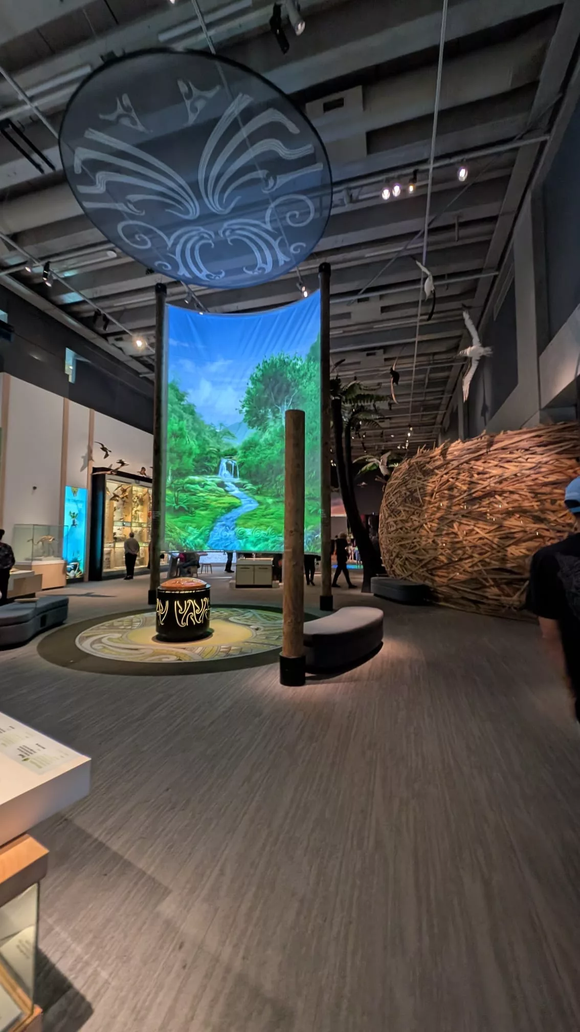 Große Ausstellung zu Neuseelands Naturgewalten uvm. im Te Papa Tongarewa Museum