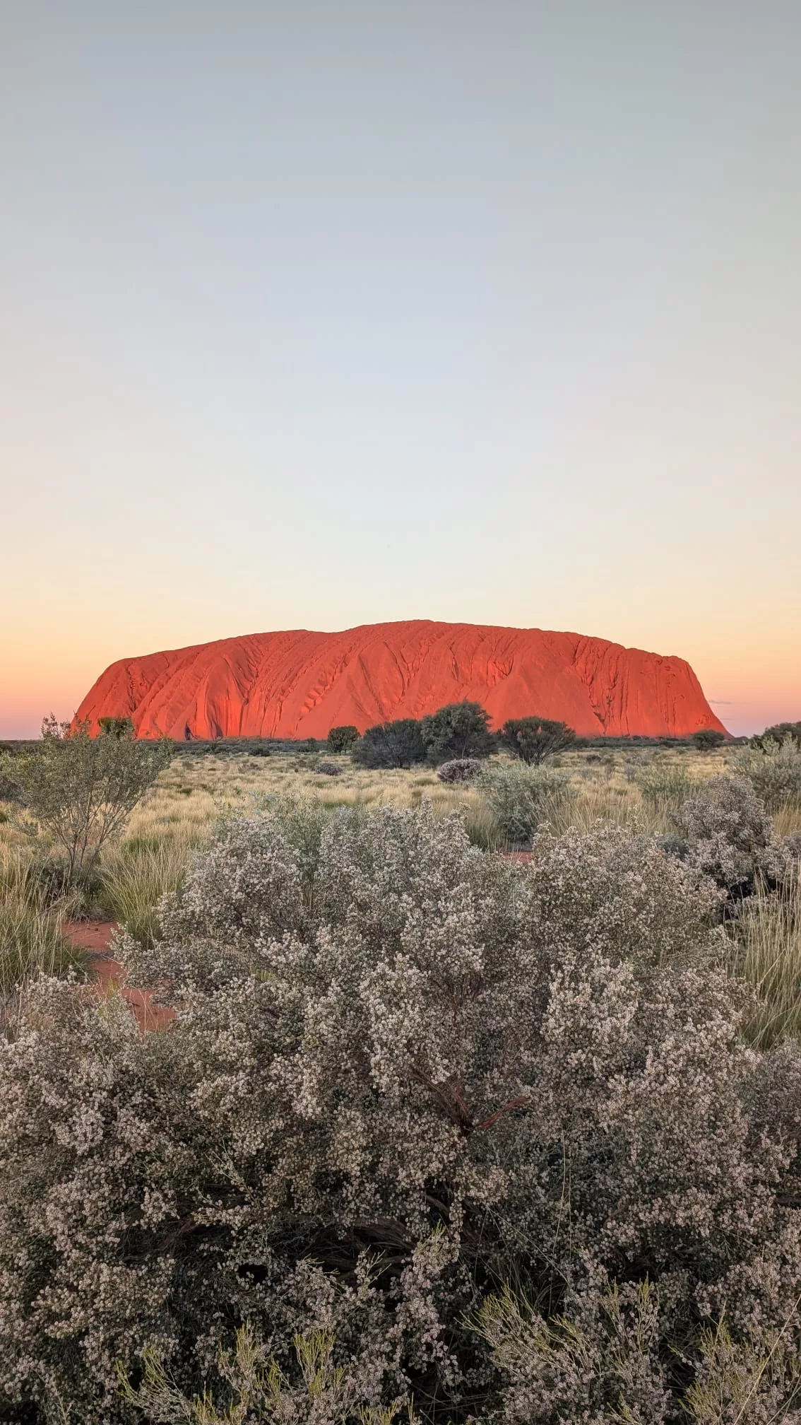 Beim Sonnenuntergang ist Uluru leuchtend rot Uluru in leuchtend roten Farben beim Sonnenuntergang