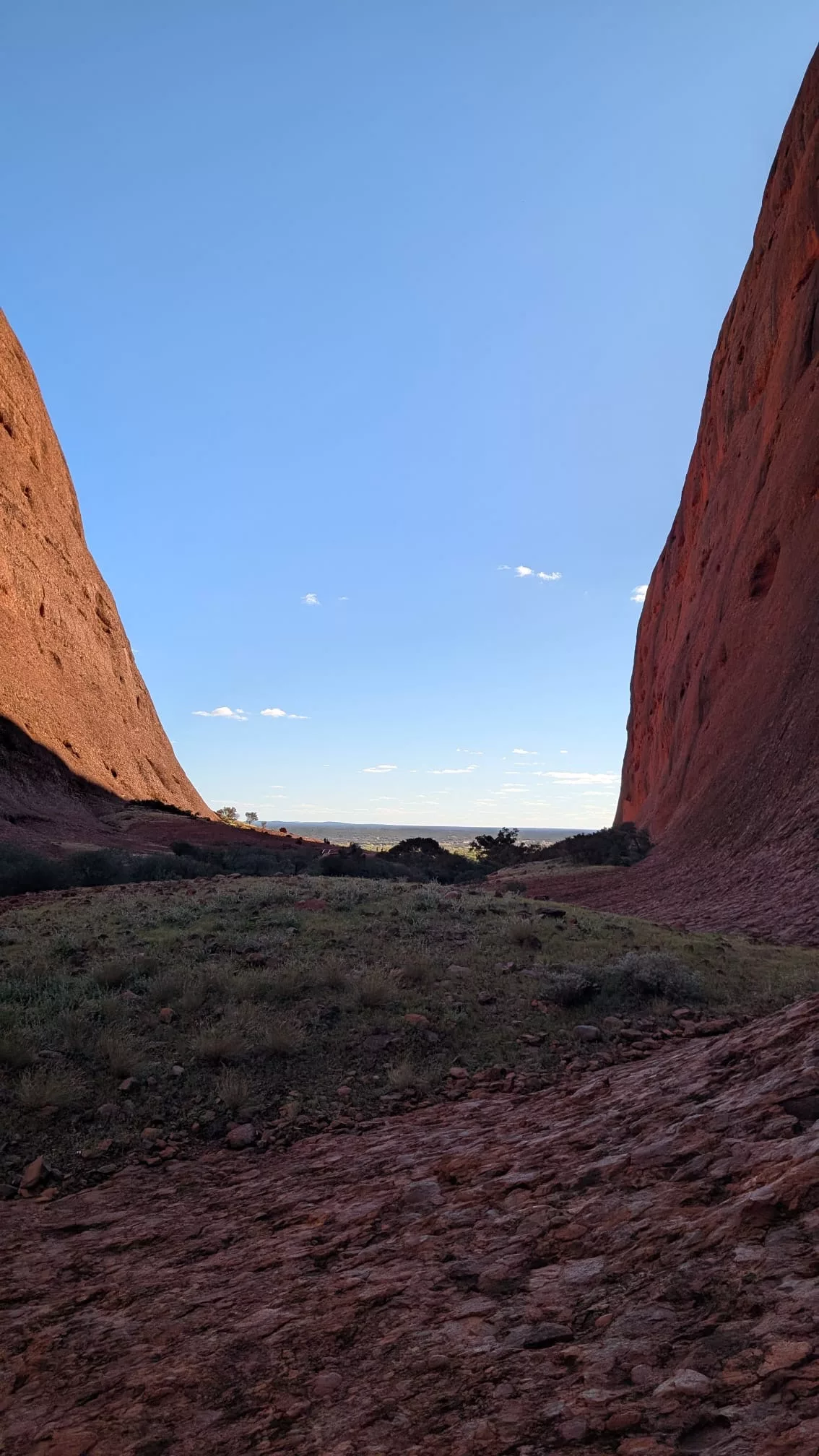 Aussicht von der Walpa Gorge auf den Nationalpark Aussicht von der Walpa Gorge auf den Nationalpark