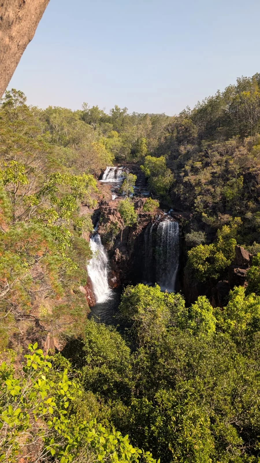 Blick auf die Florence Falls von der Aussichtsplattform aus Florence Falls vom Lookout fotografiert
