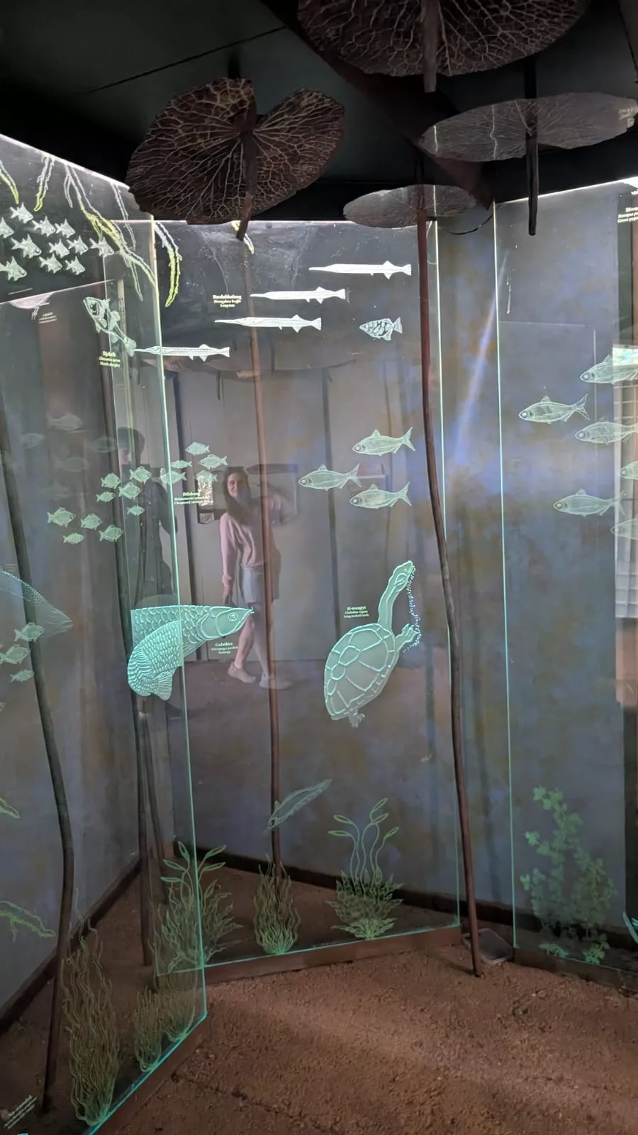 Ausstellung zu den lokalen Meeresbewohnern Ausstellung zu den lokalen Meeresbewohnern