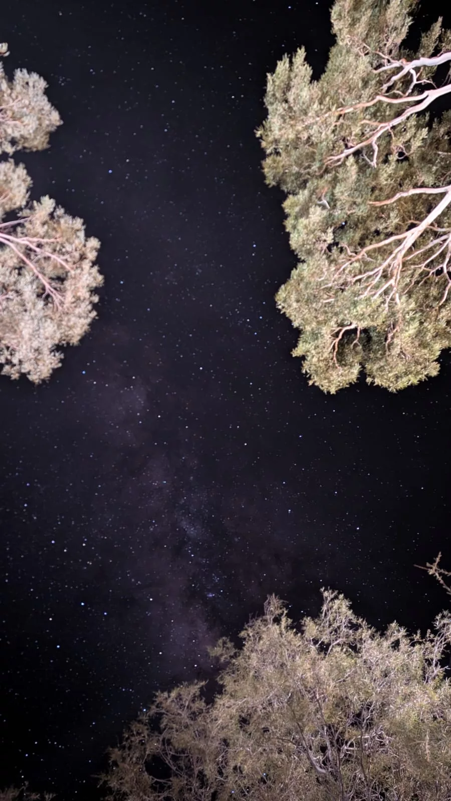 Astronomie-Touren gibt es hier übrigens auch Sternenhimmel über dem Outback