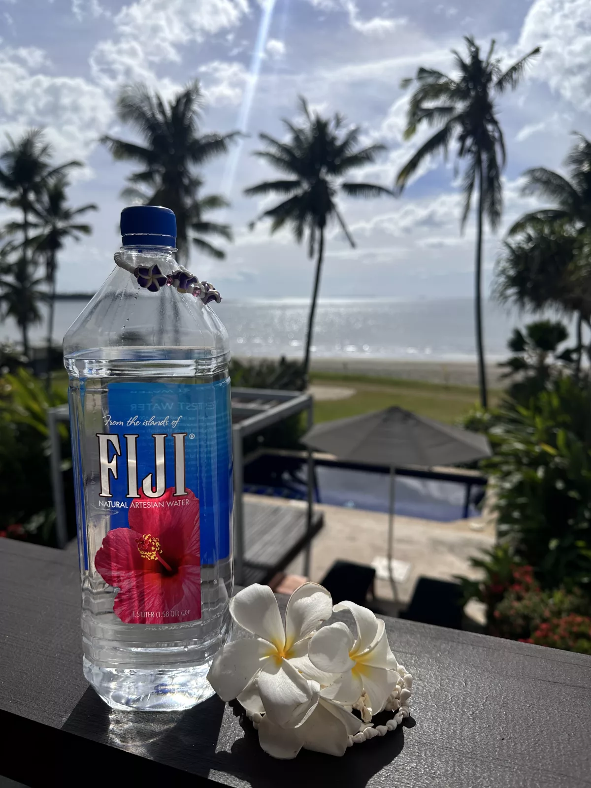 Avas Essentials: Fiji Wasser, Frangipani, Muschelkette und Meerblick Das Wichtigste Equipment: Fiji Wasser, Frangipani-Blüten, Muschelketten und Meerblick