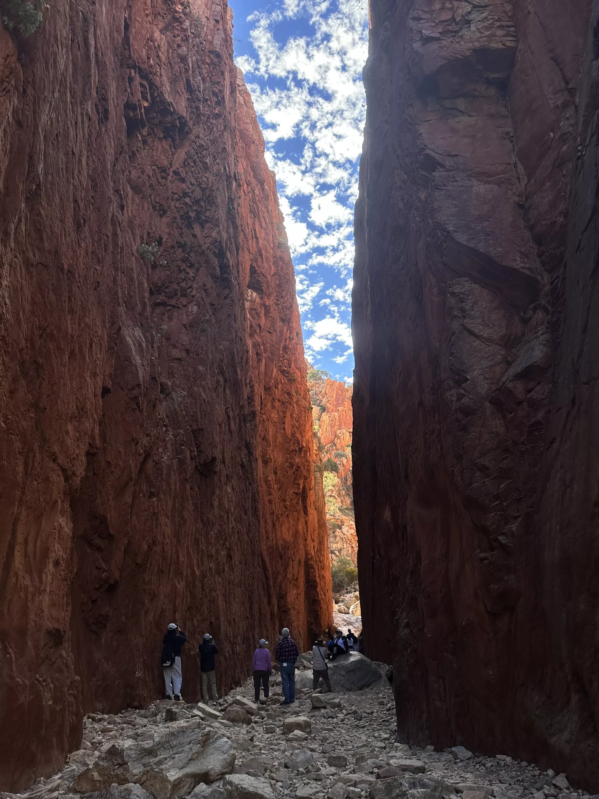 Hohe Felswände an der Schlucht des Standley Chasm