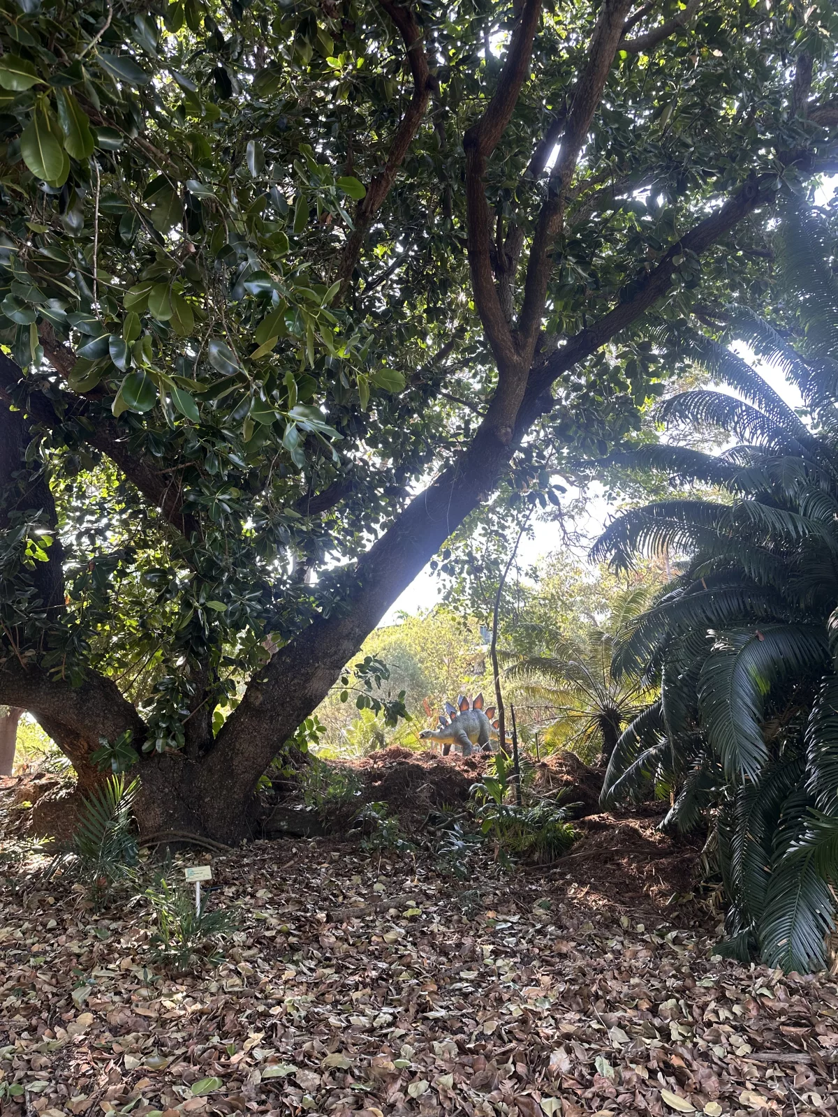 Finde den Dinosaurier Dinosaurier im Botanischen Garten Darwin