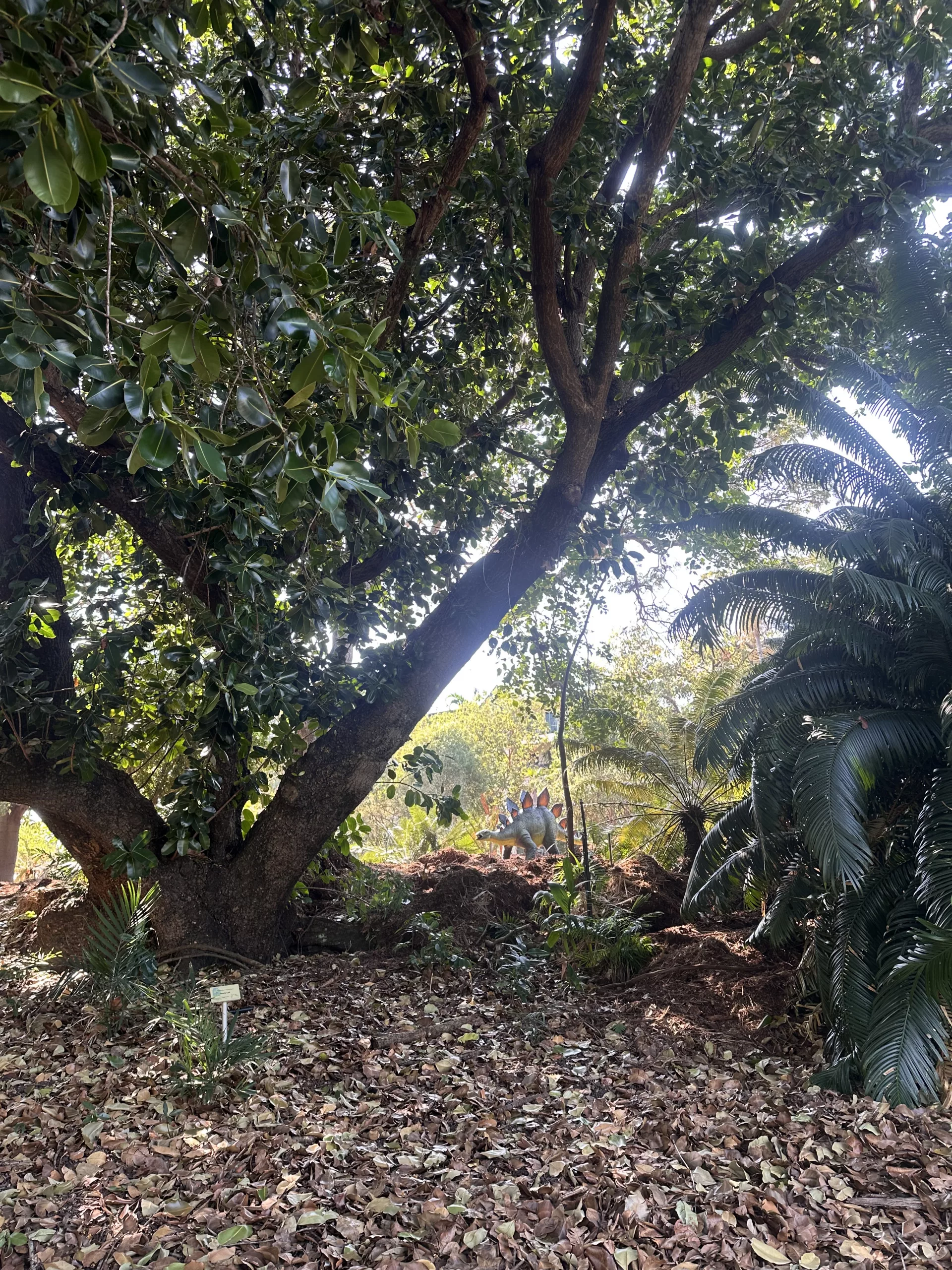 Dinosaurier im Botanischen Garten Darwin