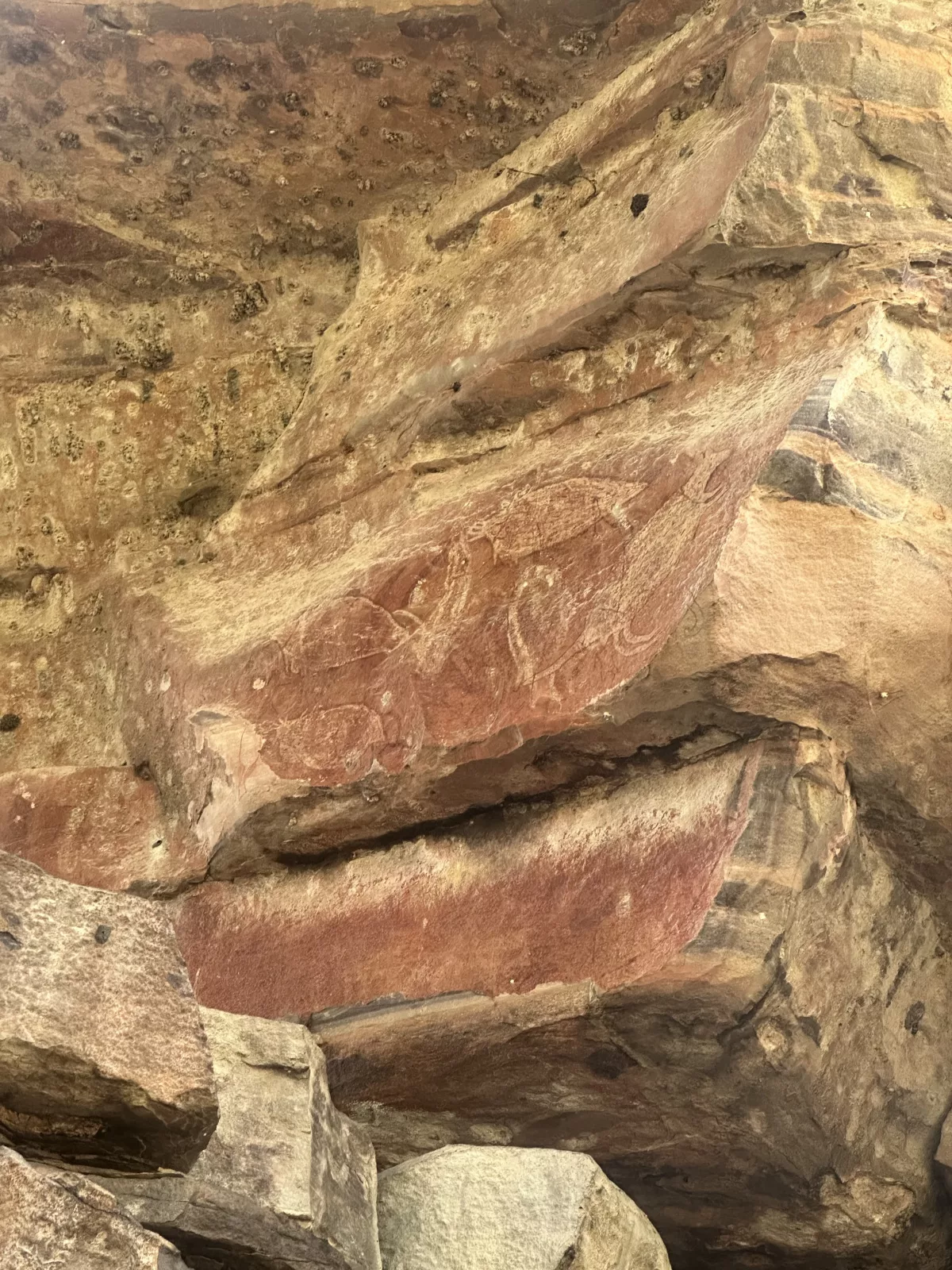 Nordaustralien-Roadtrip: Top End mit Darwin, Litchfield & Kakadu Nationalpark