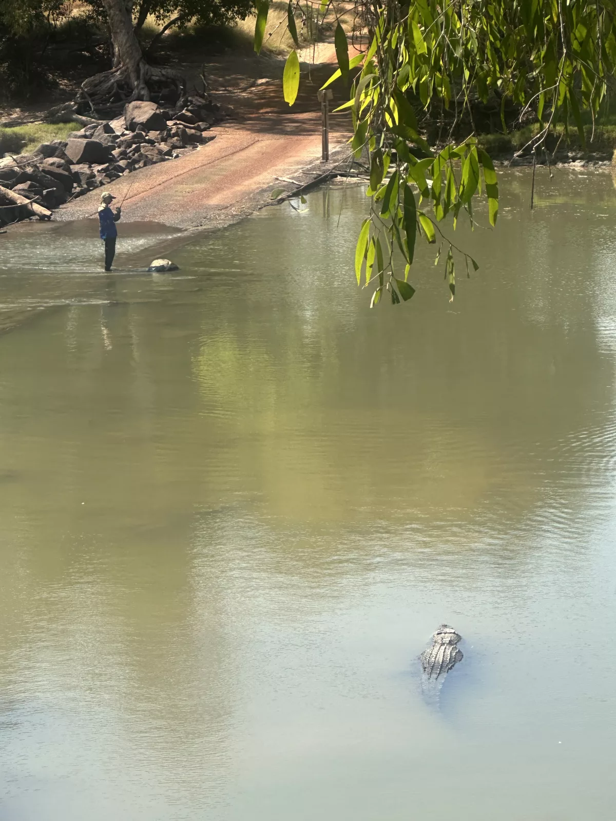 Vielleicht nicht die beste Angelstelle Krokodil im Fluss neben einem Angler an der Cahills Crossing