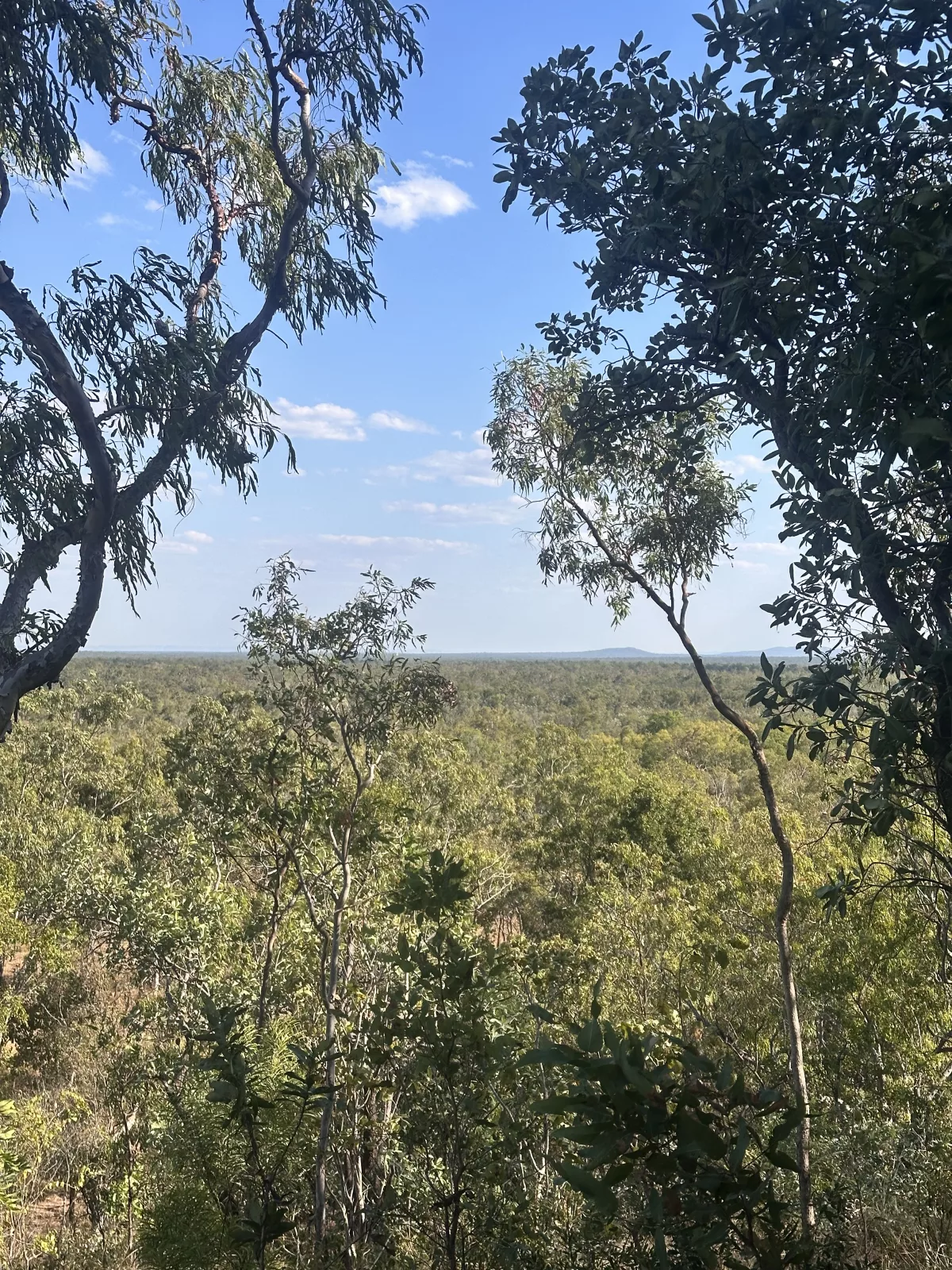 Zwischenstopp am ersten Aussichtspunkt Erster Lookout auf dem Burrungkuy Rundweg