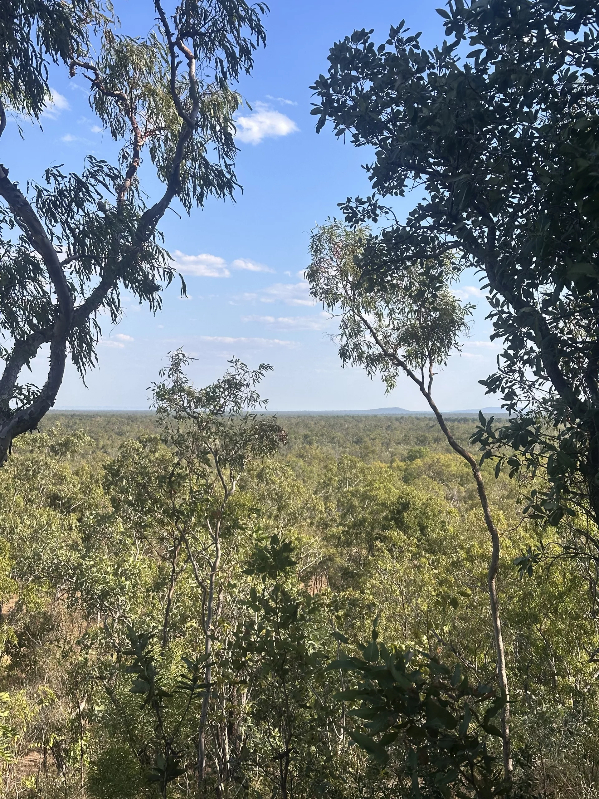 Erster Lookout auf dem Burrungkuy Rundweg