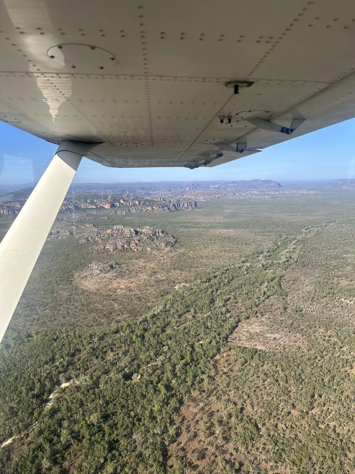 Los ging es mit dem Flug über das grüne Buschland Rundflug über den grünen Kakadu Nationalpark
