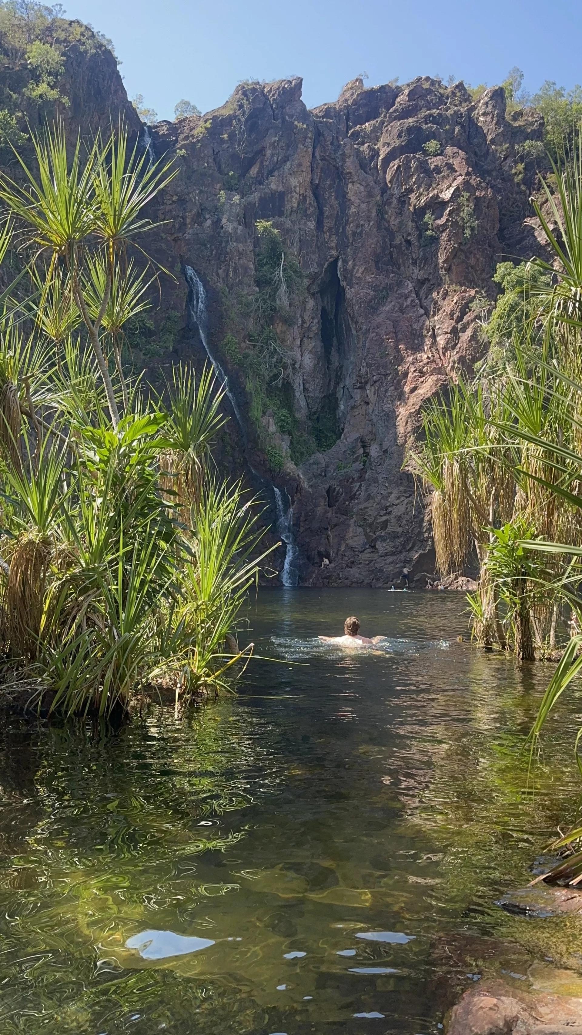 Schwimmen unter den Wangi Falls