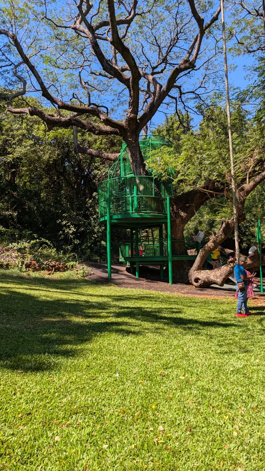 Baumhaus im Botanischen Garten Baumhaus im Botanischen Garten Darwin