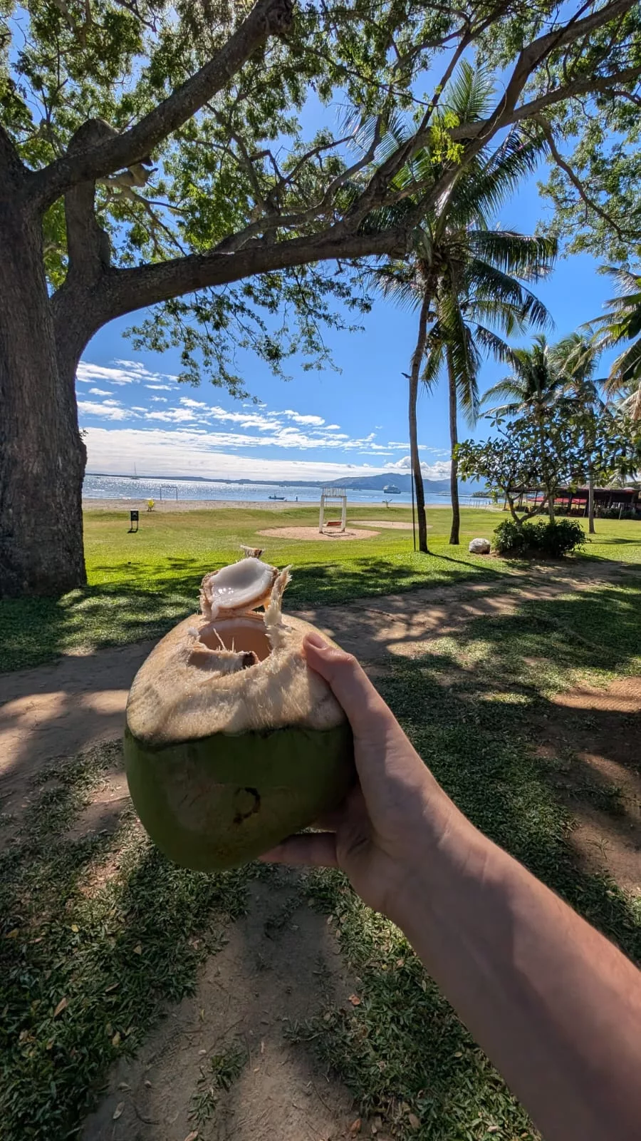 Im Hotel gab es die frisch geernteten Kokosnüsse kostenfrei Frische Kokosnüsse am Strand von Fidschi