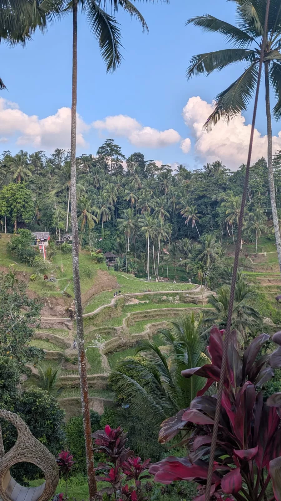 Tegallalang Reisterrassen auf Bali