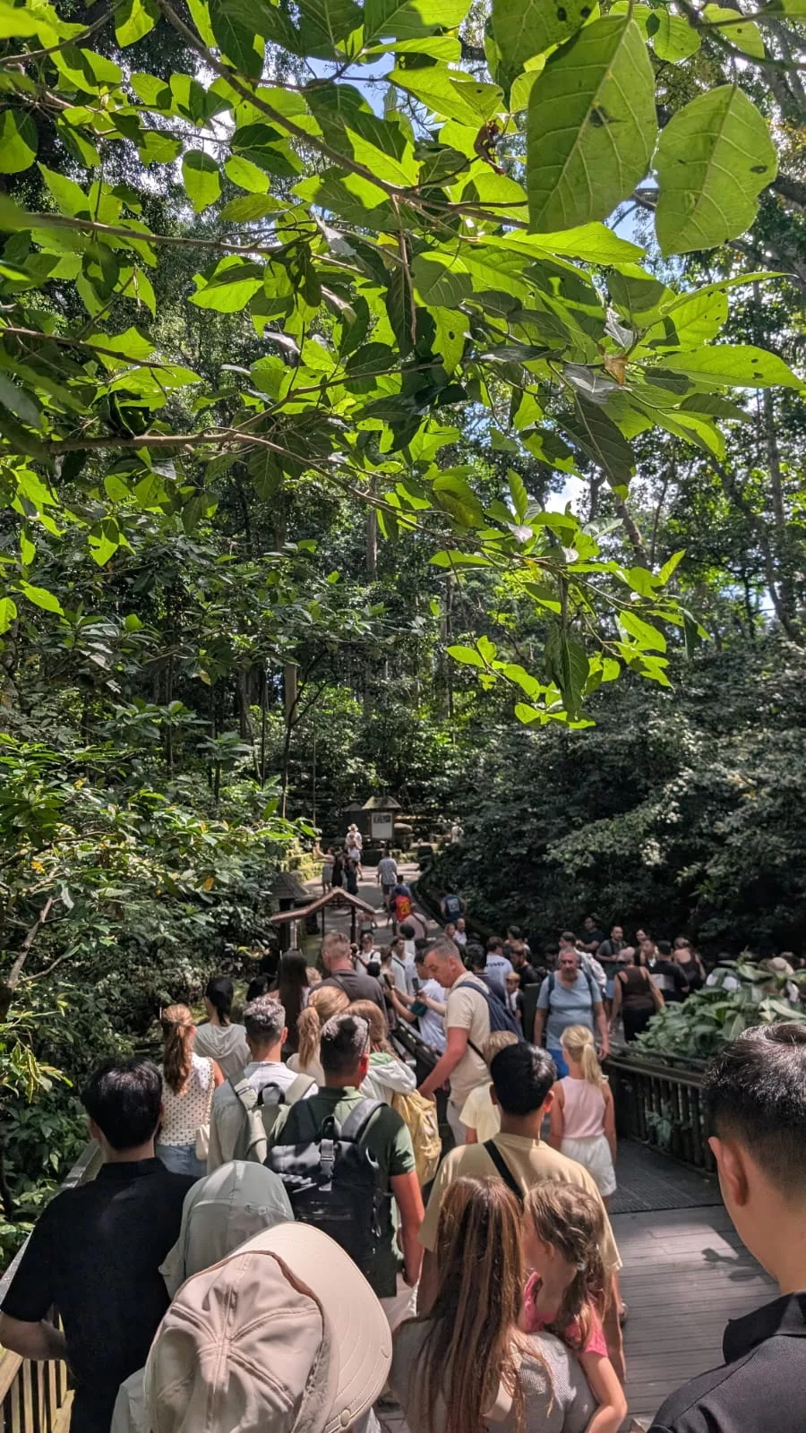 Menschenmenge im ersten Abschnitt des Affenwald-Schutzgebiets in Ubud
