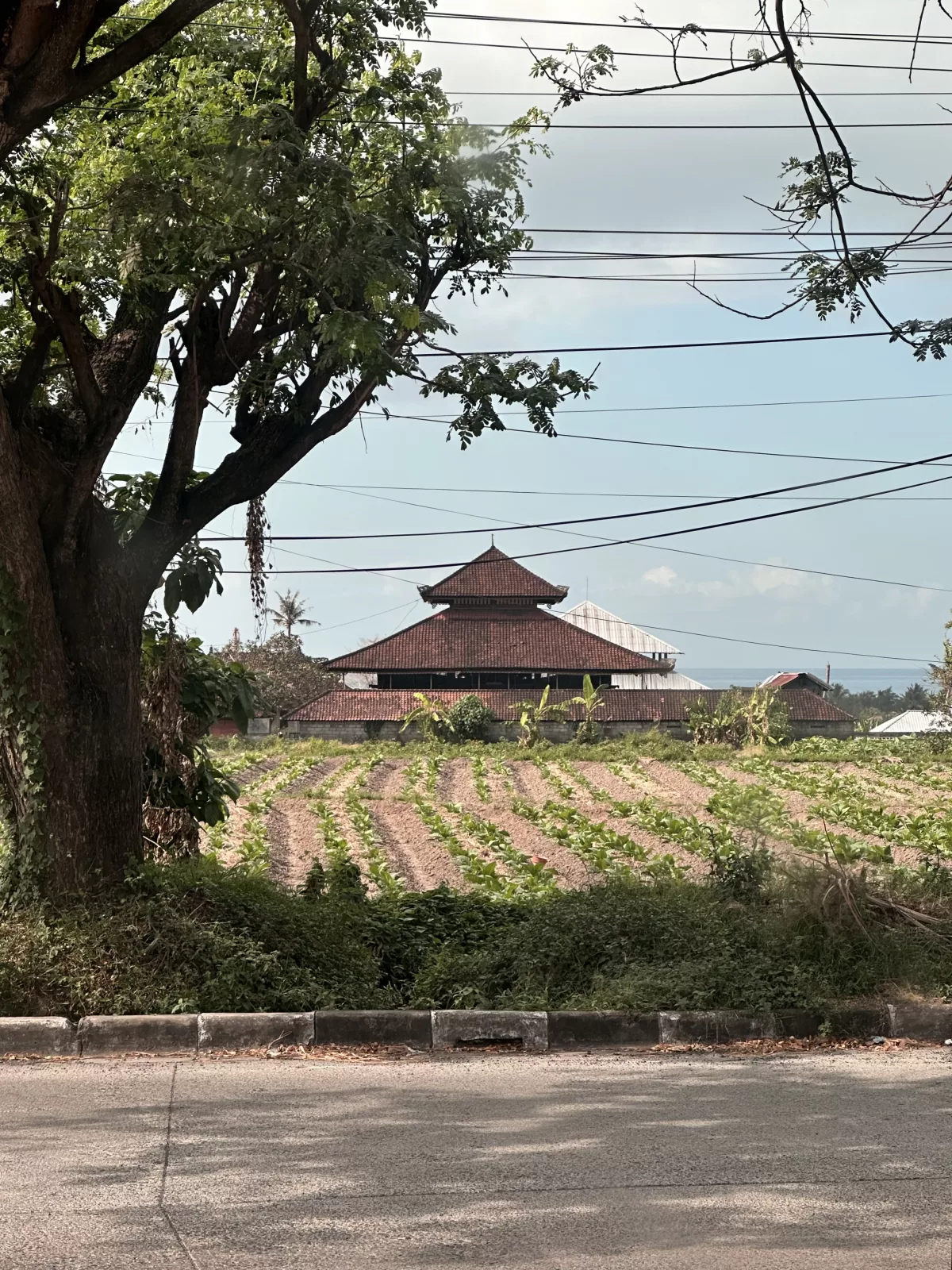 Balinesisches Haus auf der Fahrt von Kuta nach Ubud