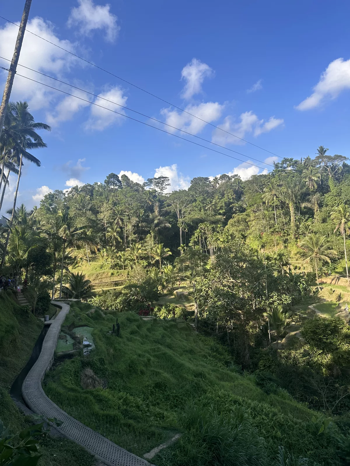 Tegallalang Reisterrassen auf Bali mit Zipline oben im Bild