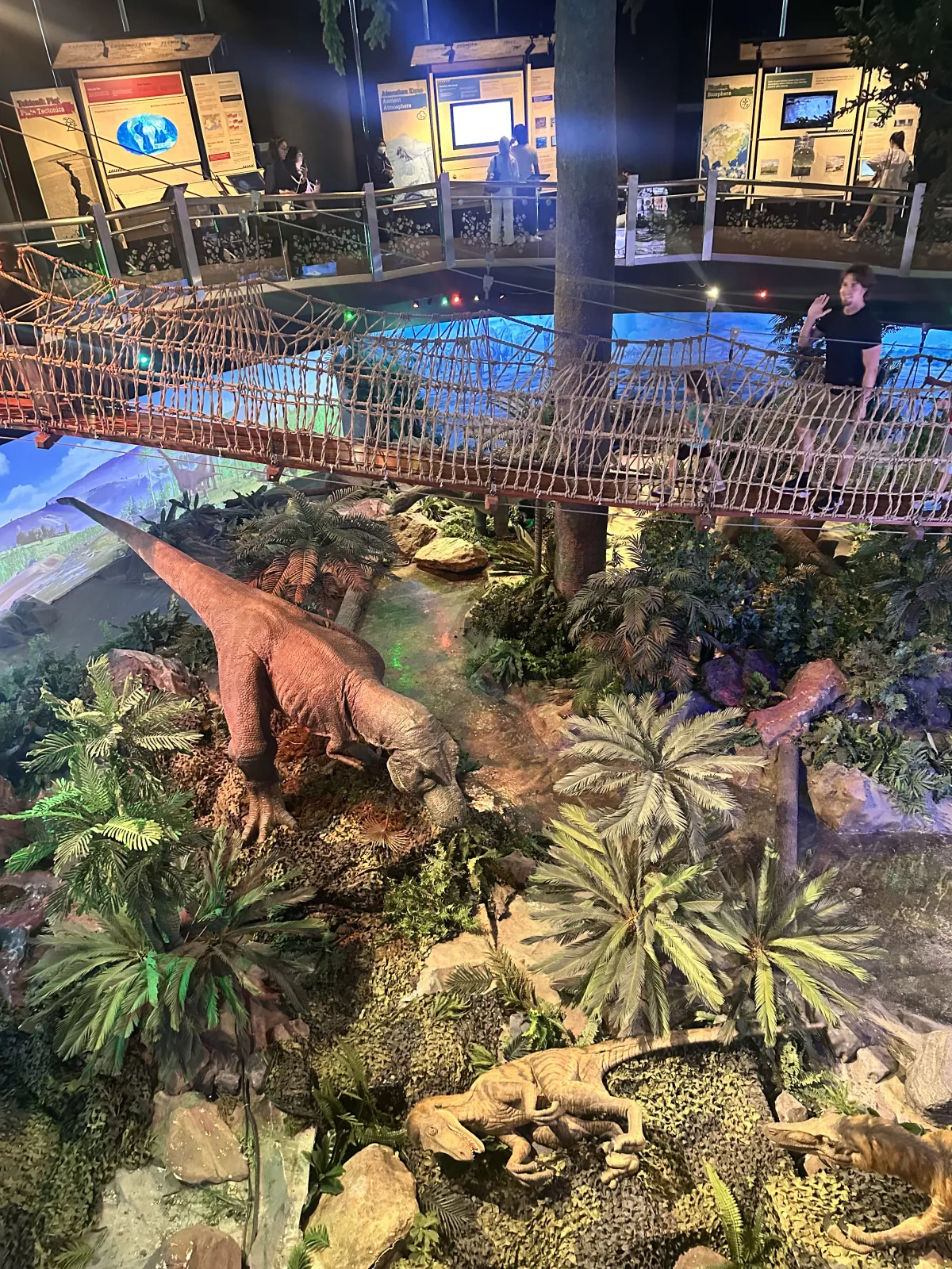 Eine Hängebrücke führt über den Dinosaurier-Bereich Dinosaurier-Bereich mit Hängebrücke im Petrosains Museum