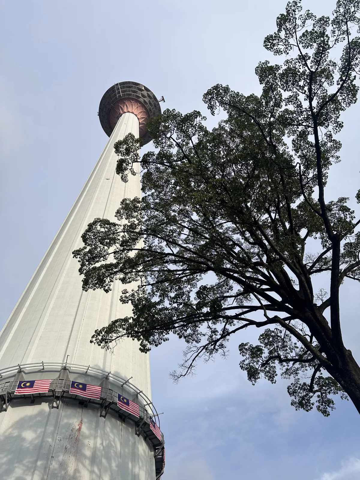 KL Tower mit dem über 100 Jahre alten, beim Bau verschonten Jelutong Baum KL Tower mit über 100 Jahre alten Jelutong Baum
