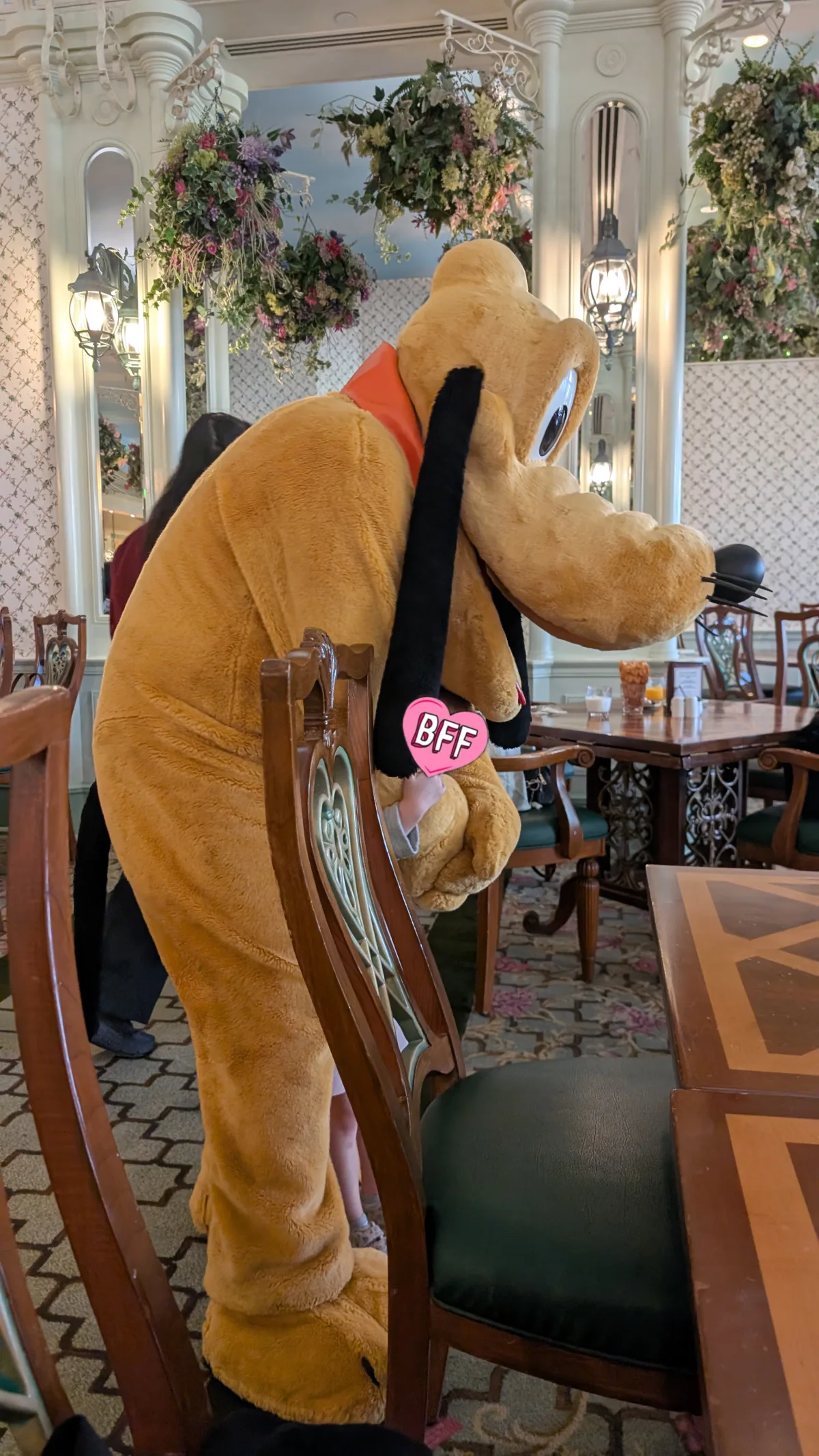 Wer hat schon die Chance jeden Morgen Pluto zu umarmen? Umarmung von Pluto beim Frühstück im Disneyhotel Hongkong