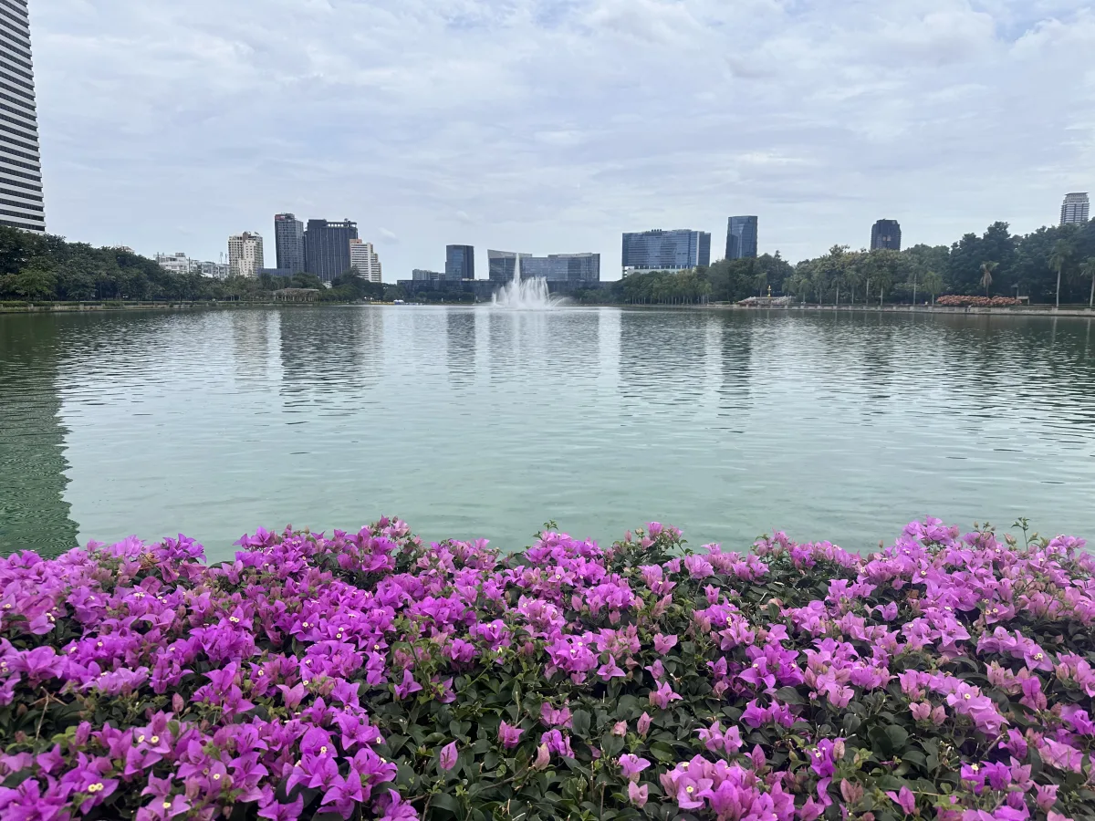 Der große See mit drei Springbrunnen im Benjakitti Park See mit riesigen Springbrunnen im Benjakitti Park Bangkok