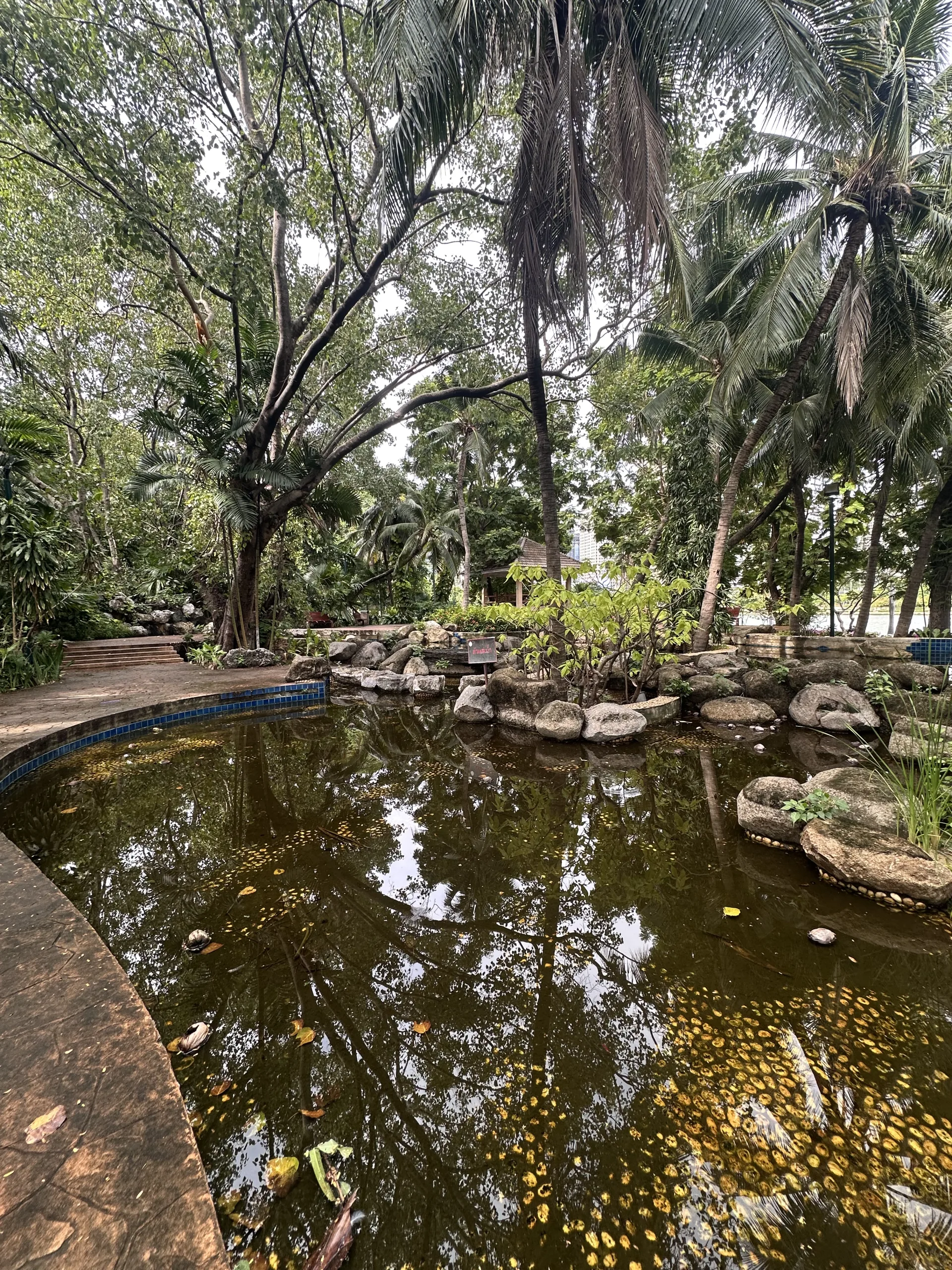 Grüne Natur im Benjakitti Park von Bangkok
