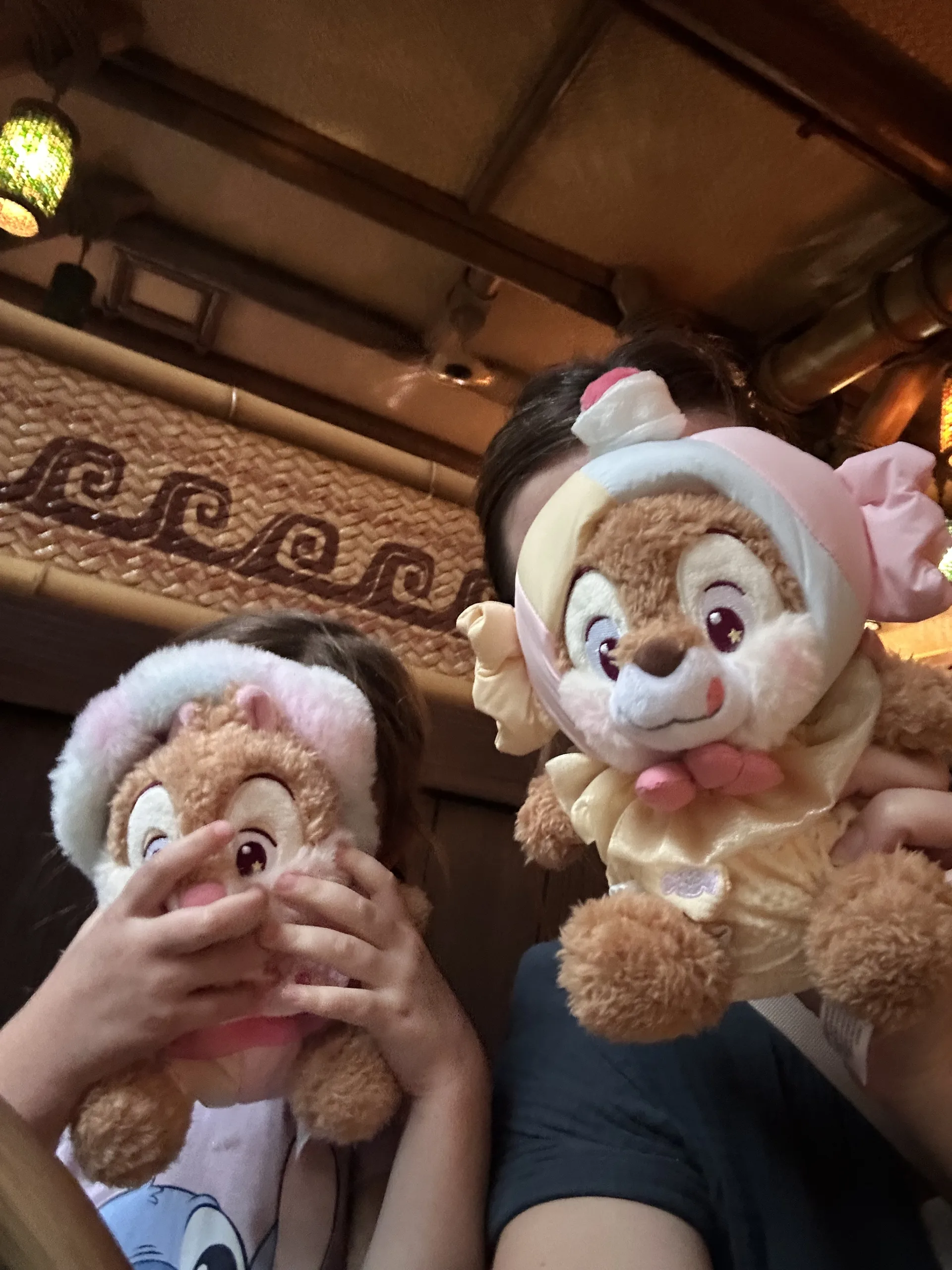 Unser Geschenk: die Chip und Chap Kuscheltiere