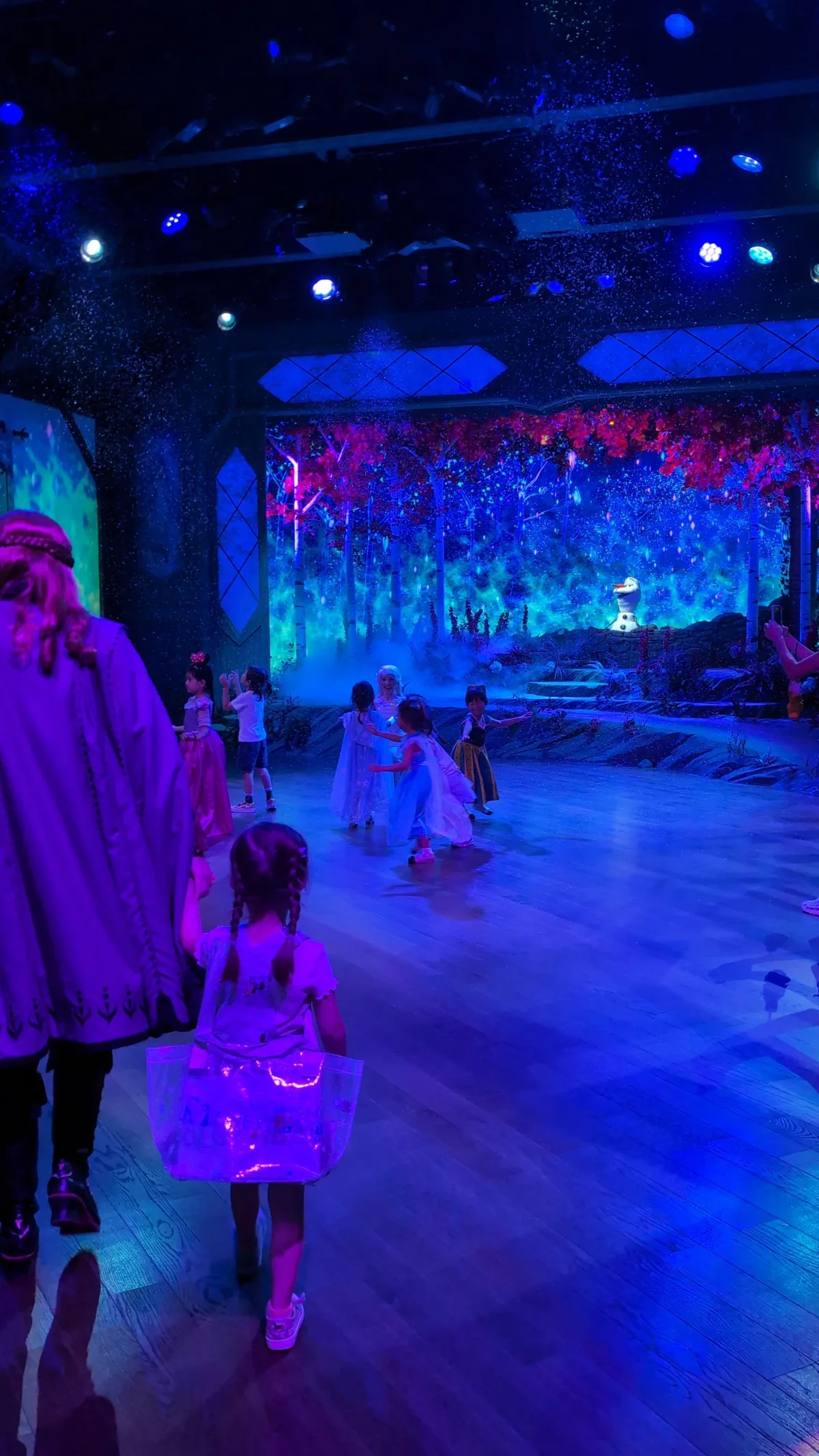 Die Anna und Elsa Darstellerinnen sind richtig toll auf die Kinder eingegangen Darstellerinnen Anna und Elsa im Disneyland Hongkong mit Kindern