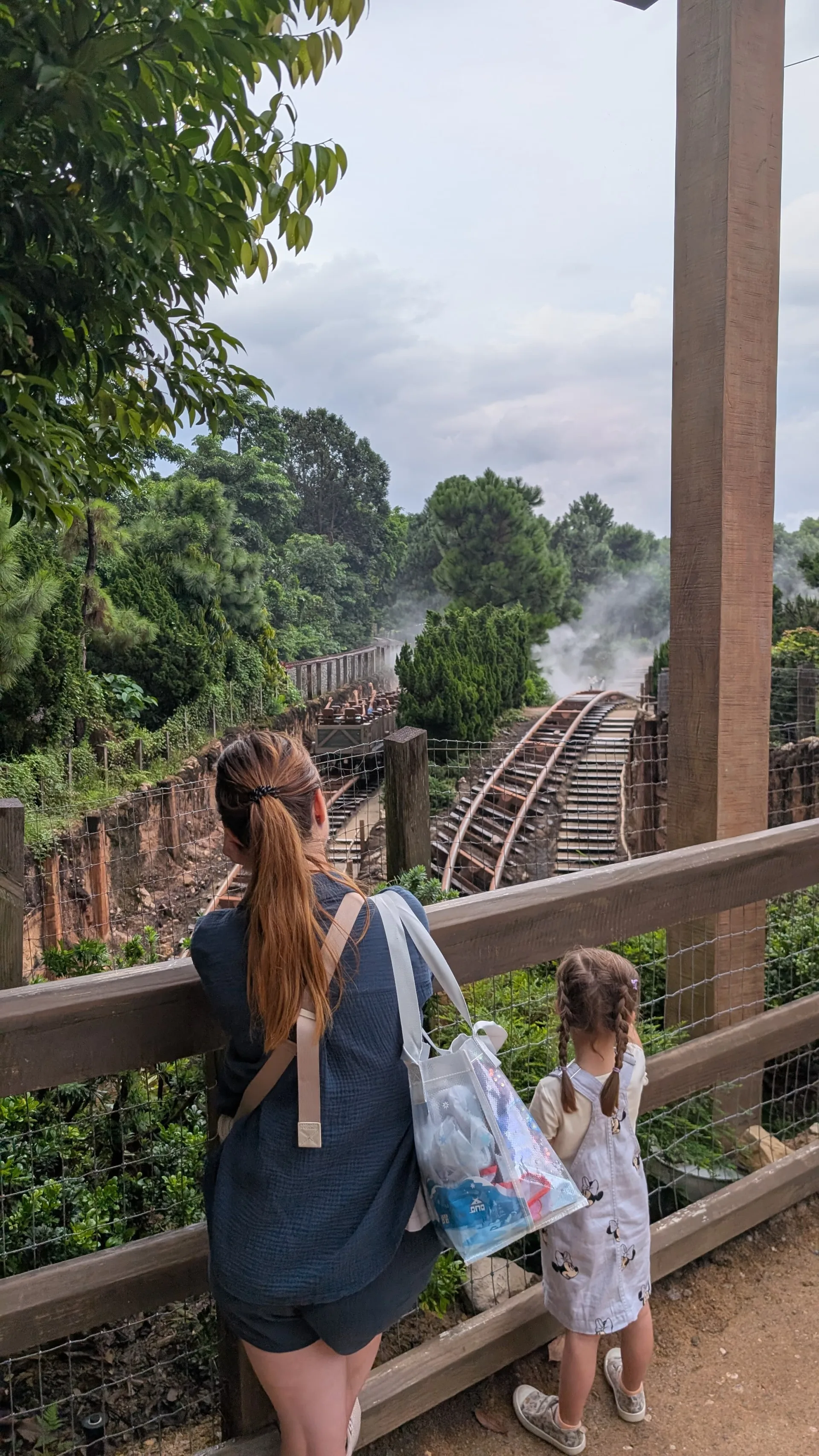 Die Achterbahn am Big Grizzly Mountain konnten wir nur beobachten