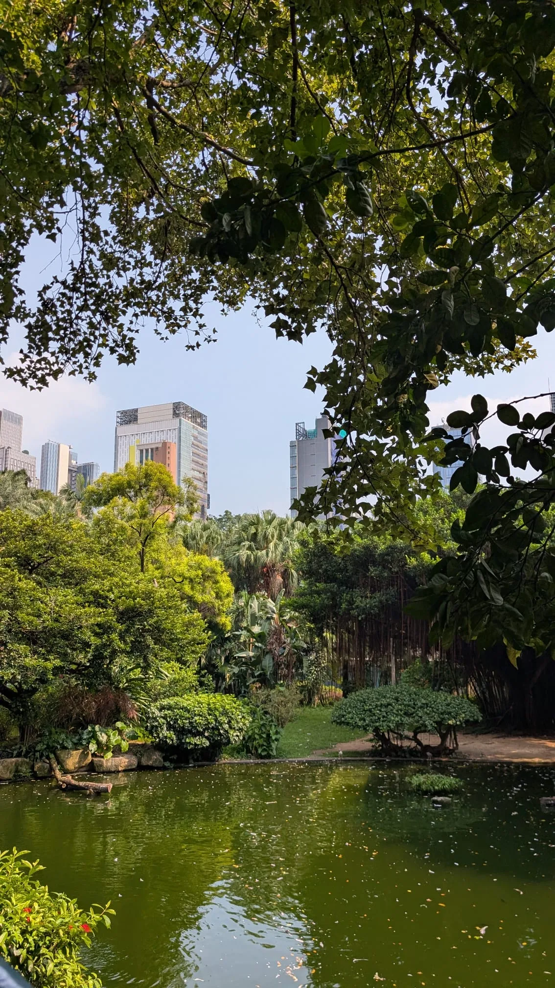 Mitten in der Stadt ist der Park eine erholsame, grüne Oase Grüne Ruheoase inmitten der Stadt: der Kowloon Park