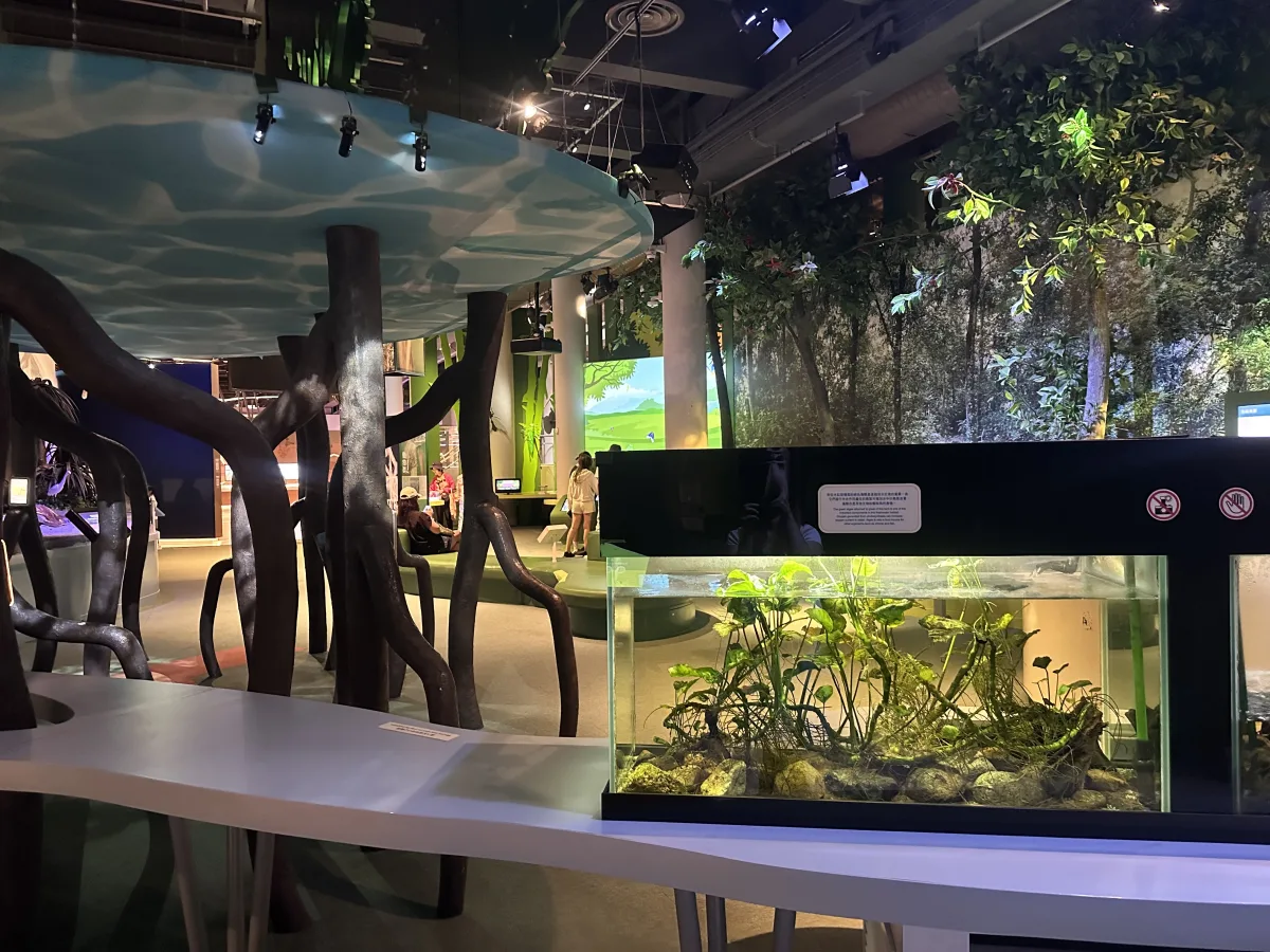 Im Untergeschoss ging es um die Tier- und Pflanzenwelt Aquarien im Tierbereich des Science Museums Hongkong