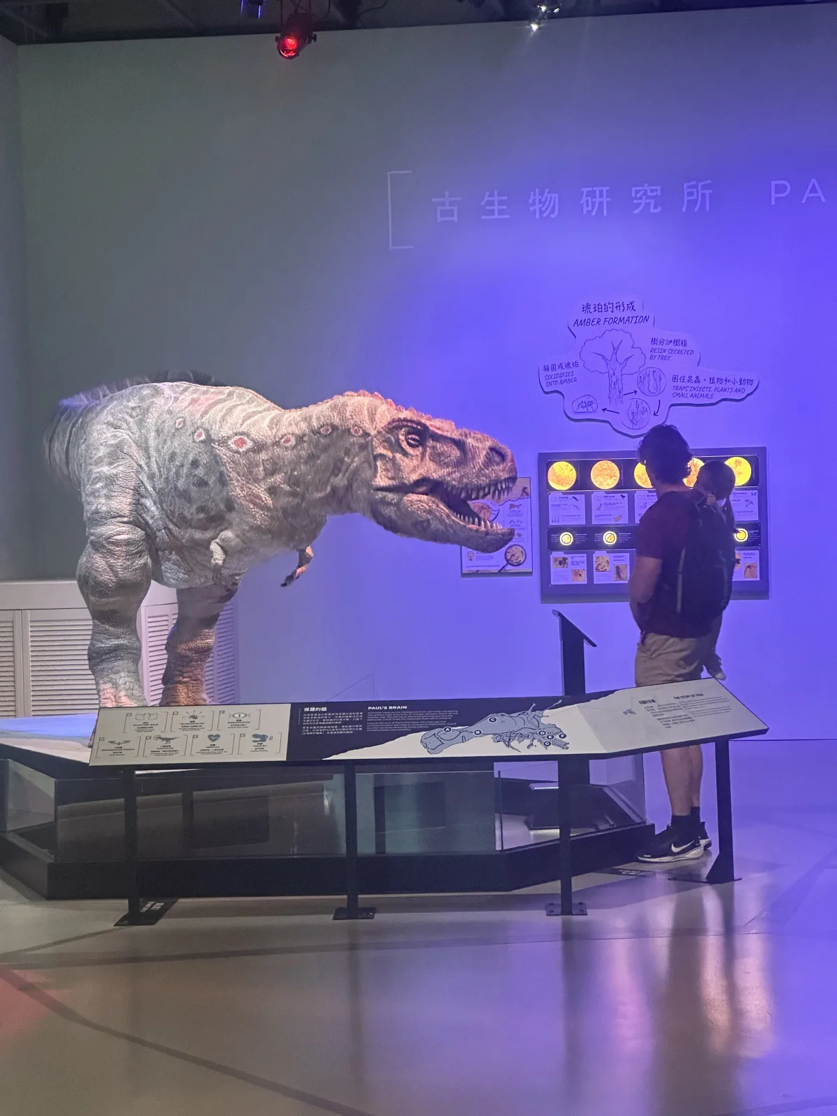Die Dinosaurier reagieren auf Bewegung und interagieren mit dir Dinosaurier im Science Museum Hongkong interagiert mit Besuchern