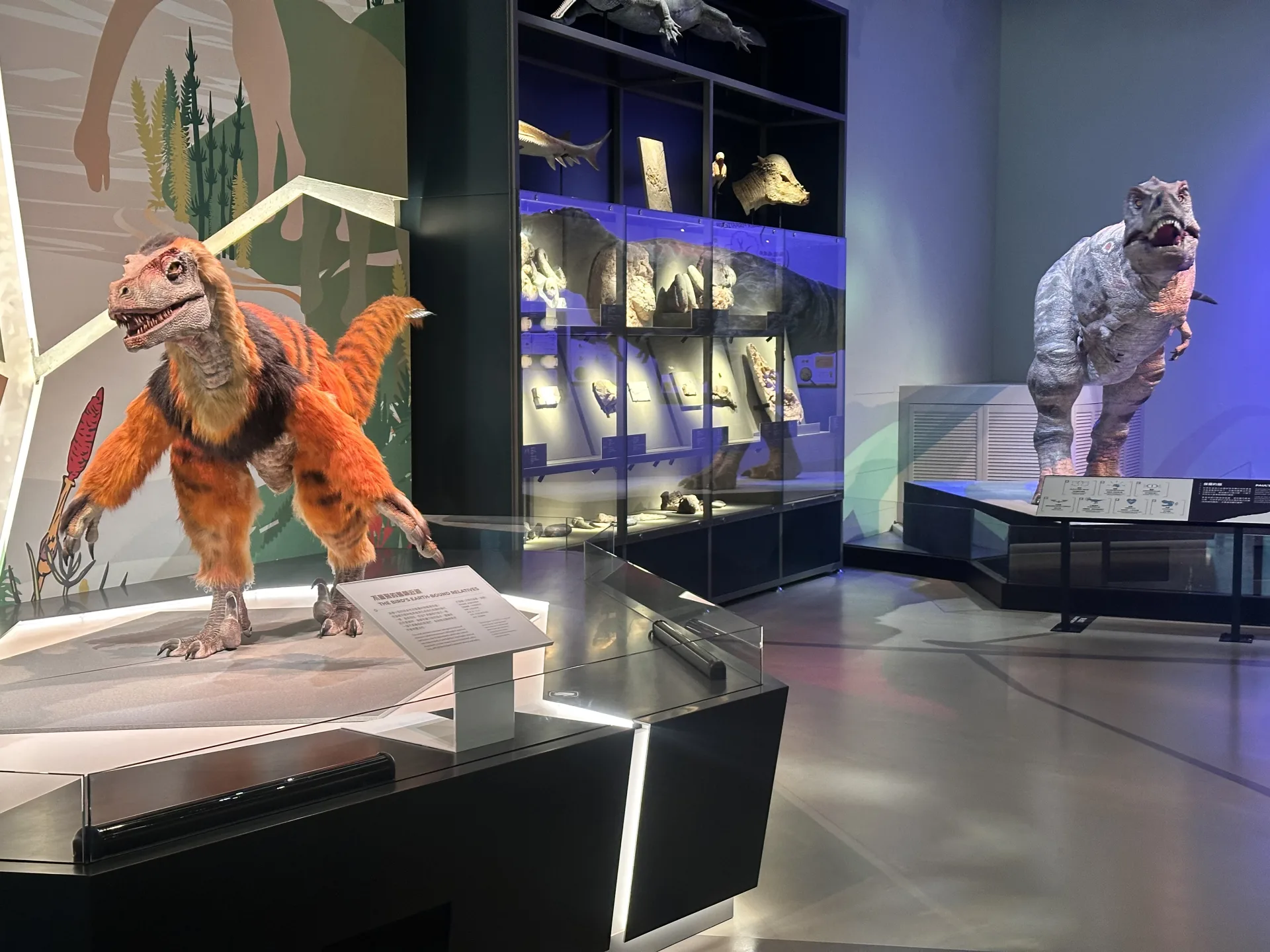 Zwei Dinosaurier im Science Museum Hongkong