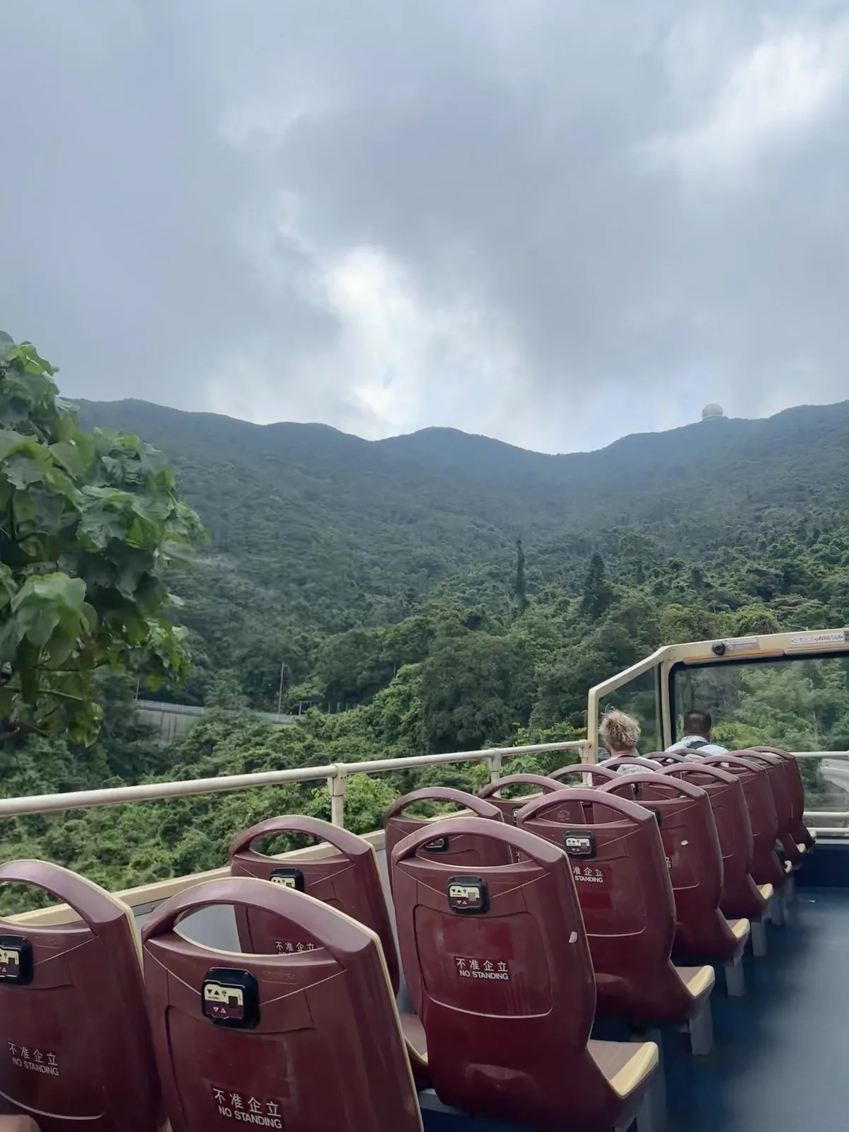 Eine Bustour rund um Hongkong Island führt auch in die Natur Grüne Natur auf der Stanley Route der Big Bus Tour Hongkong