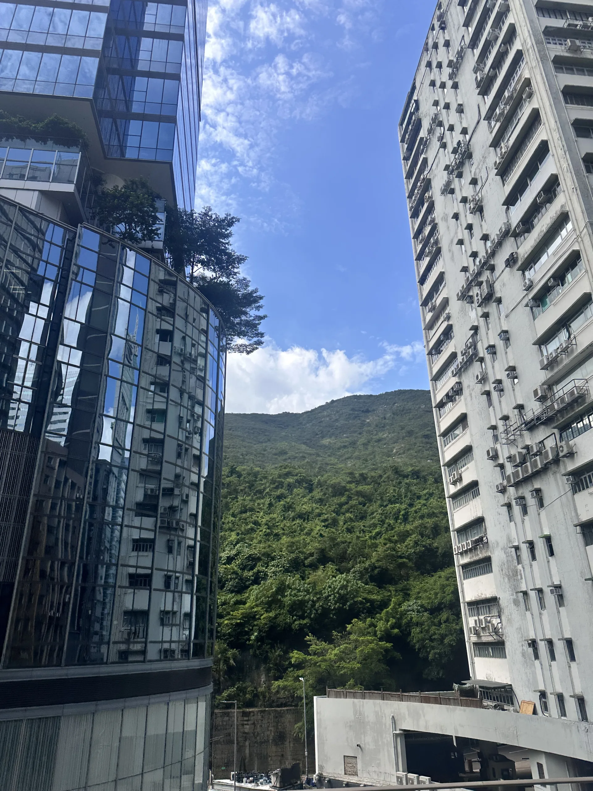 Kontraste in Hongkong: Moderne und ältere Hochhäuser vor grüner Natur